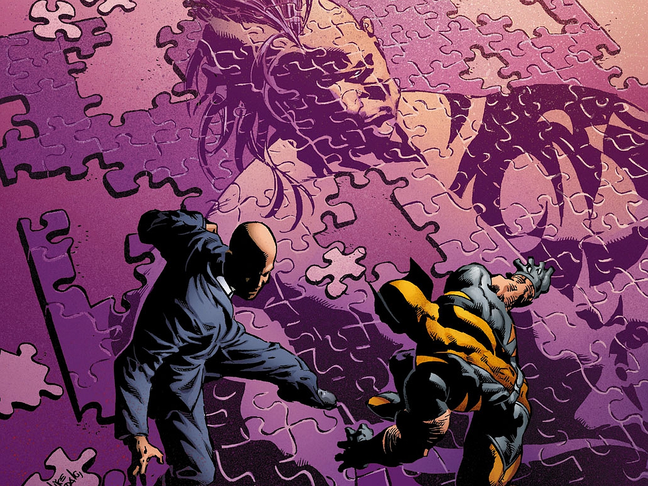 Téléchargez gratuitement l'image Bande Dessinées, Charles Xavier, Wolverine : Le Combat De L'immortel sur le bureau de votre PC