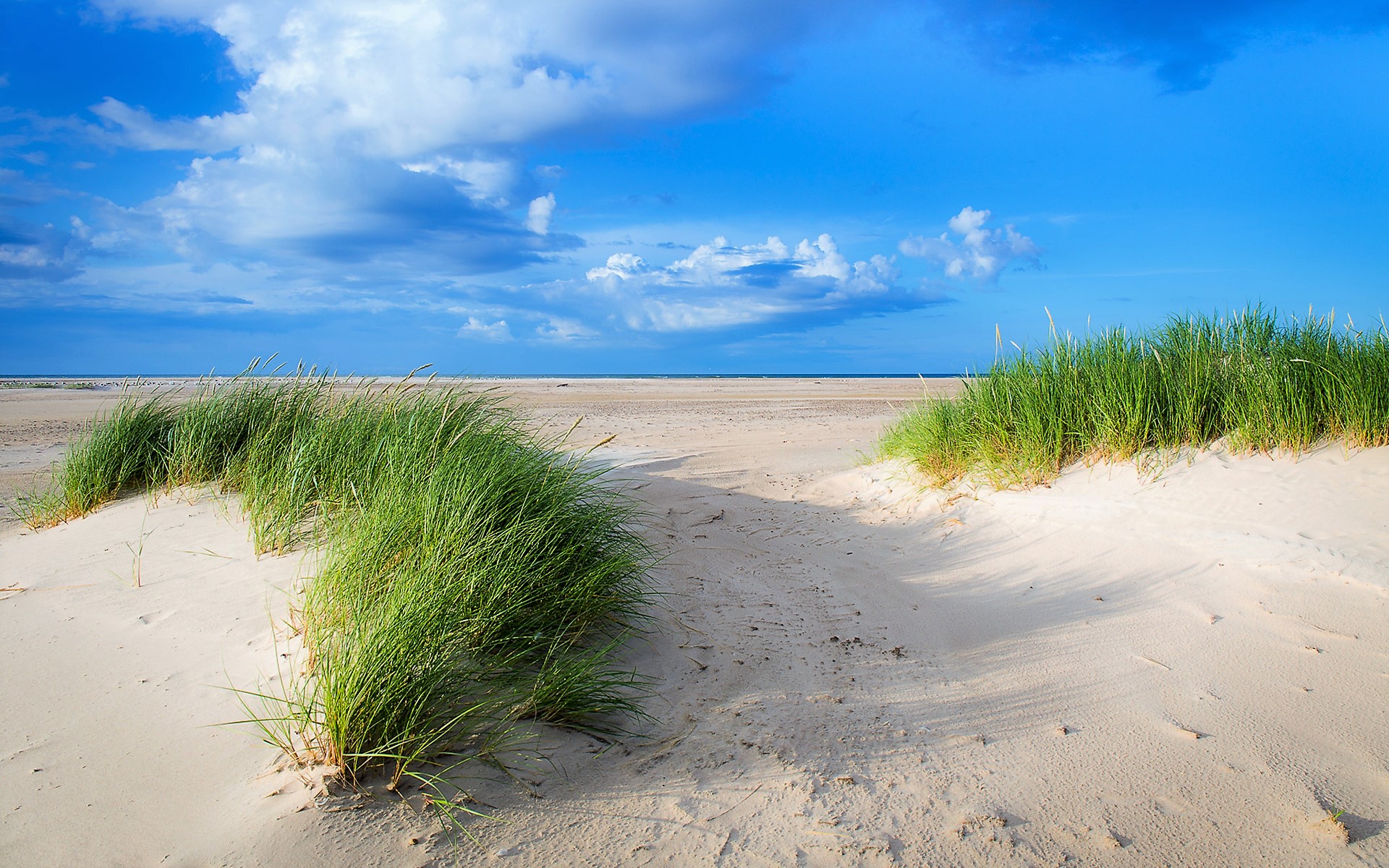 Download mobile wallpaper Grass, Sky, Beach, Sand, Horizon, Earth, Cloud for free.