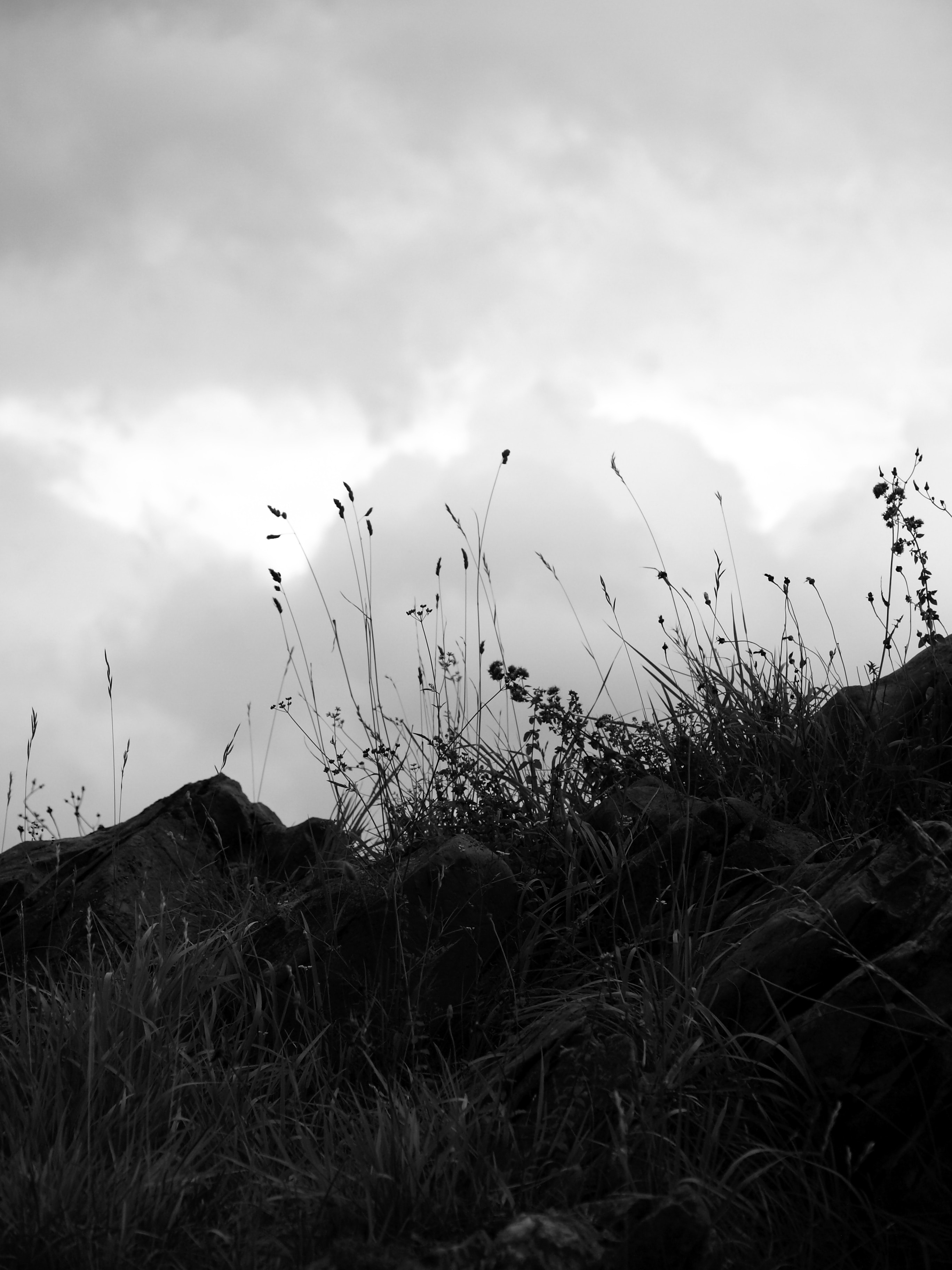 clouds, chb, nature, grass, stones, sky, bw, hill 5K