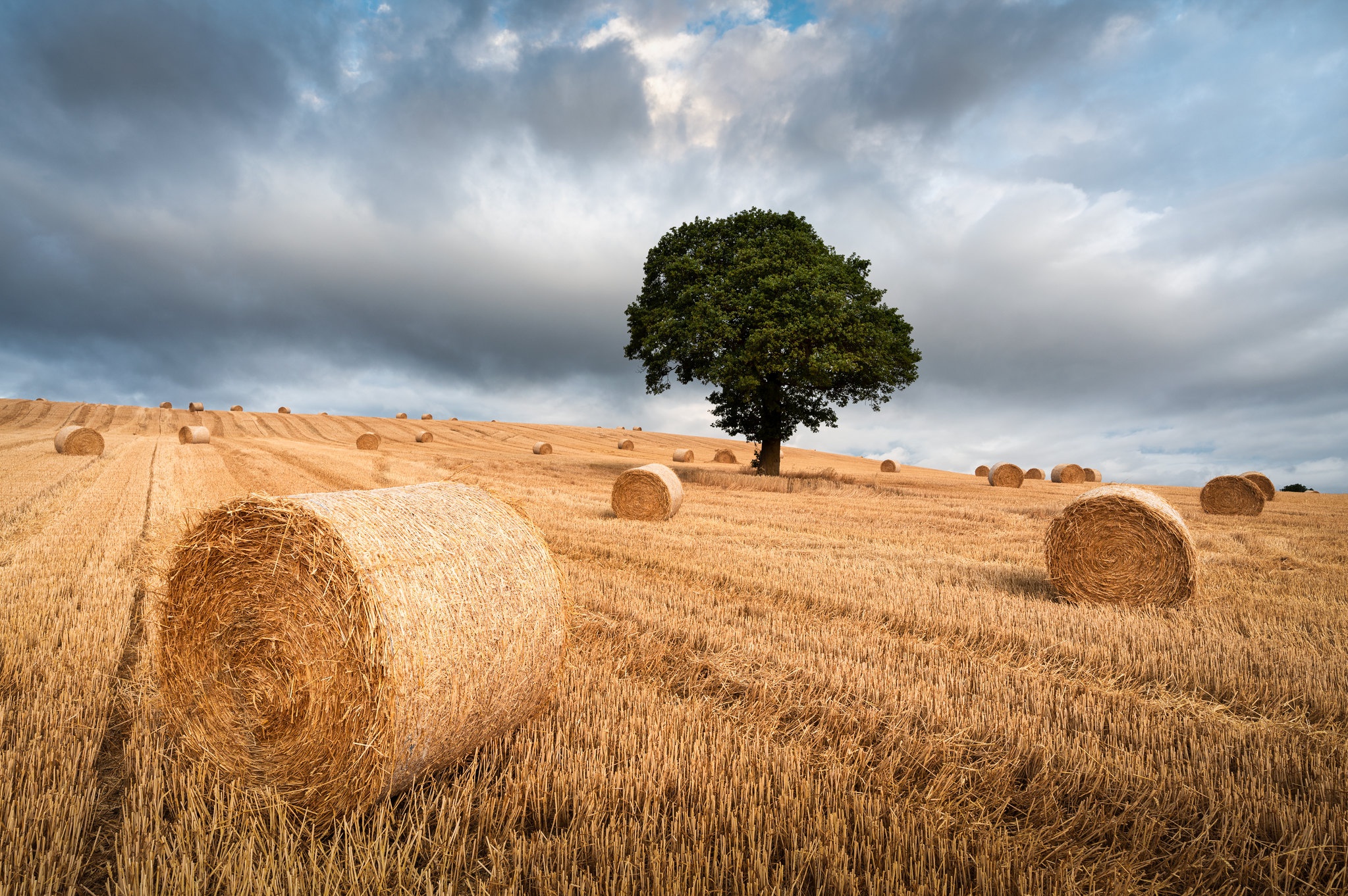 Download mobile wallpaper Nature, Summer, Tree, Earth, Field, Haystack for free.