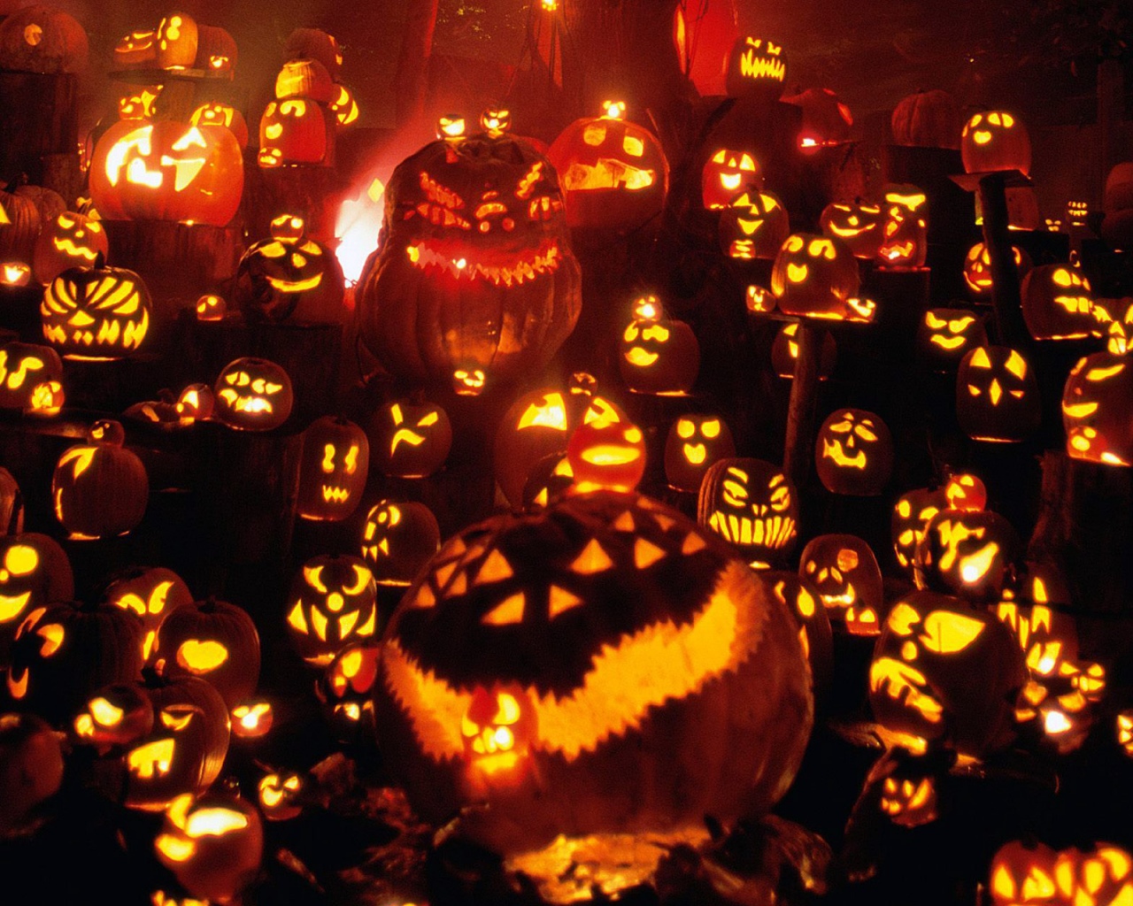 1441236壁紙のダウンロードホリデー, ハロウィン, かぼちゃ-スクリーンセーバーと写真を無料で
