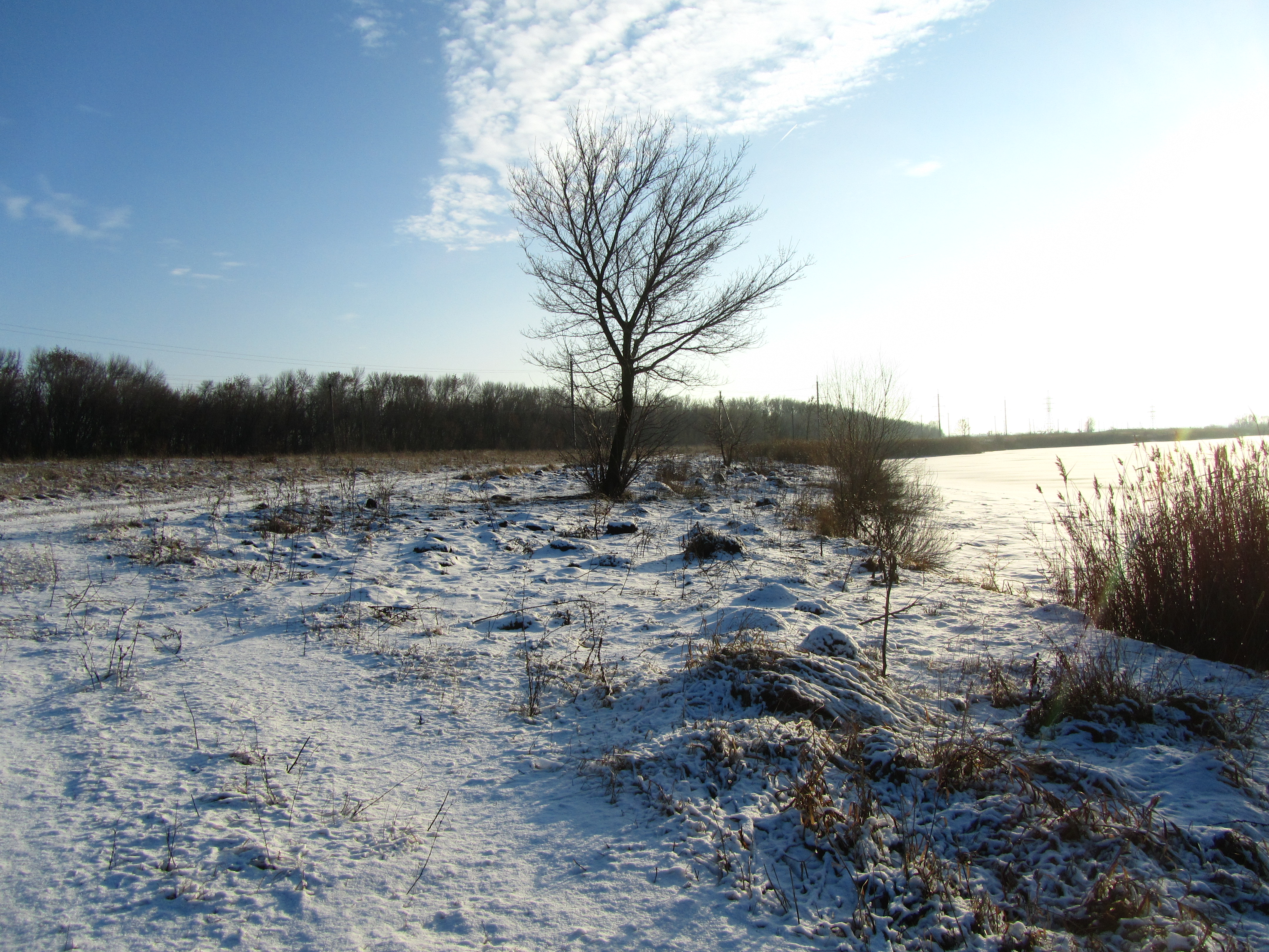 Handy-Wallpaper Winter, Fotografie kostenlos herunterladen.