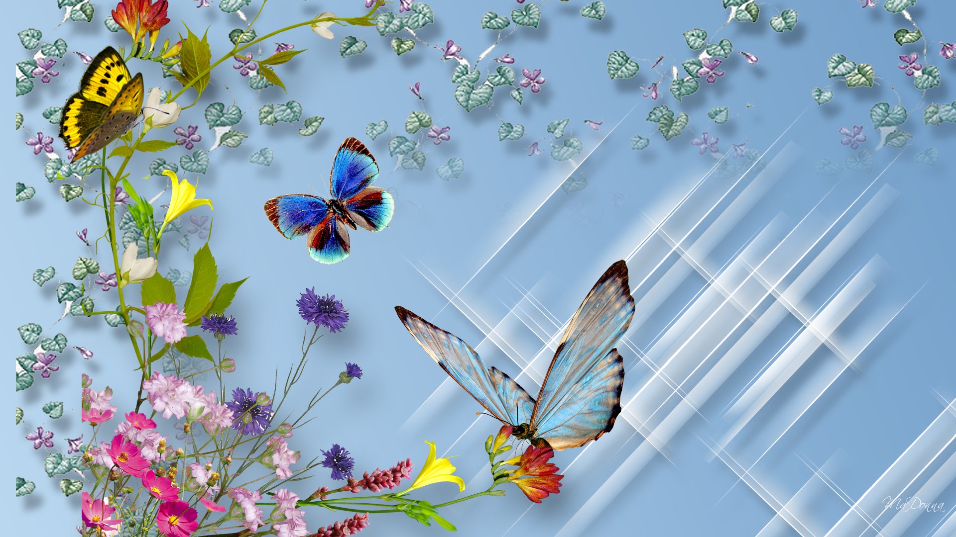 Handy-Wallpaper Blume, Schmetterling, Bunt, Künstlerisch kostenlos herunterladen.