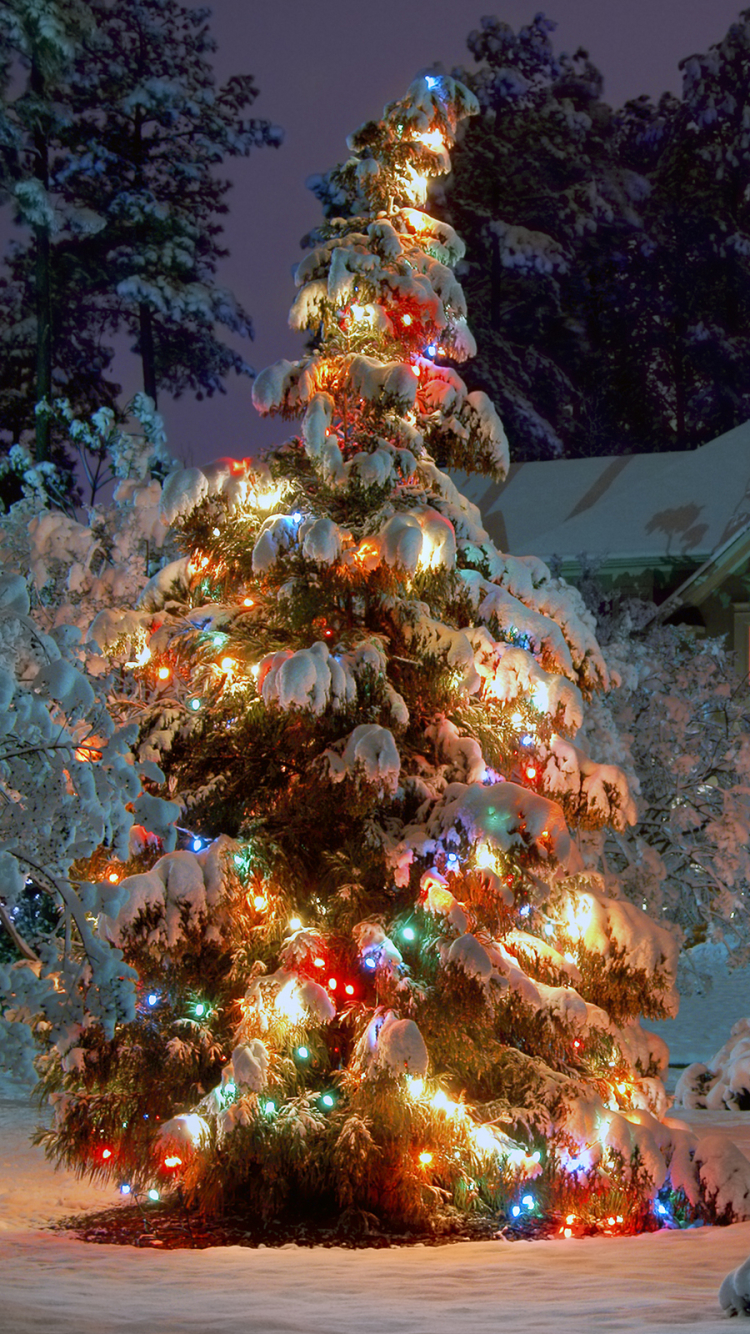 Download mobile wallpaper Christmas, Holiday, Christmas Tree, Christmas Lights for free.