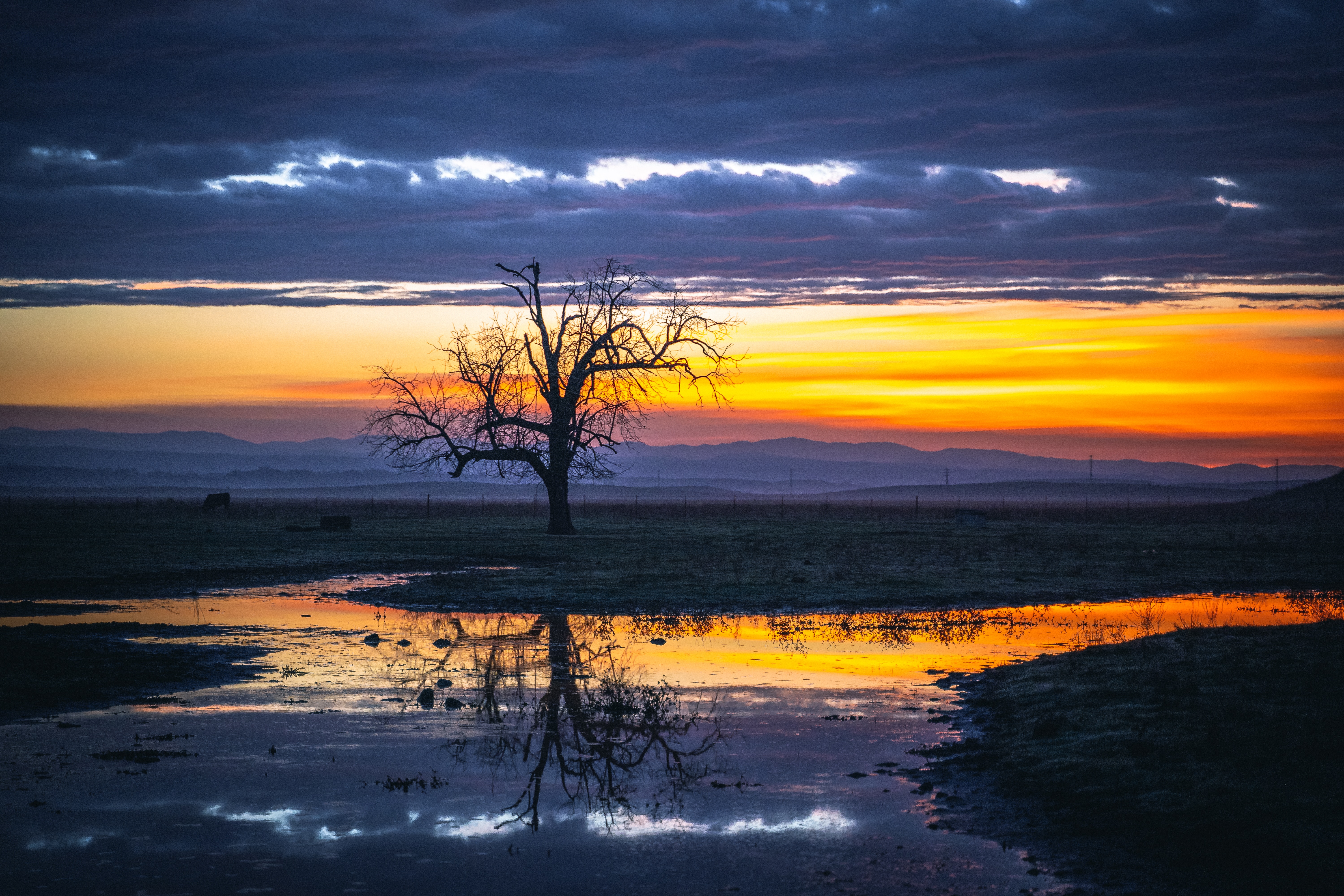 Free download wallpaper Nature, Water, Reflection, Wood, Tree, Twilight, Dusk on your PC desktop
