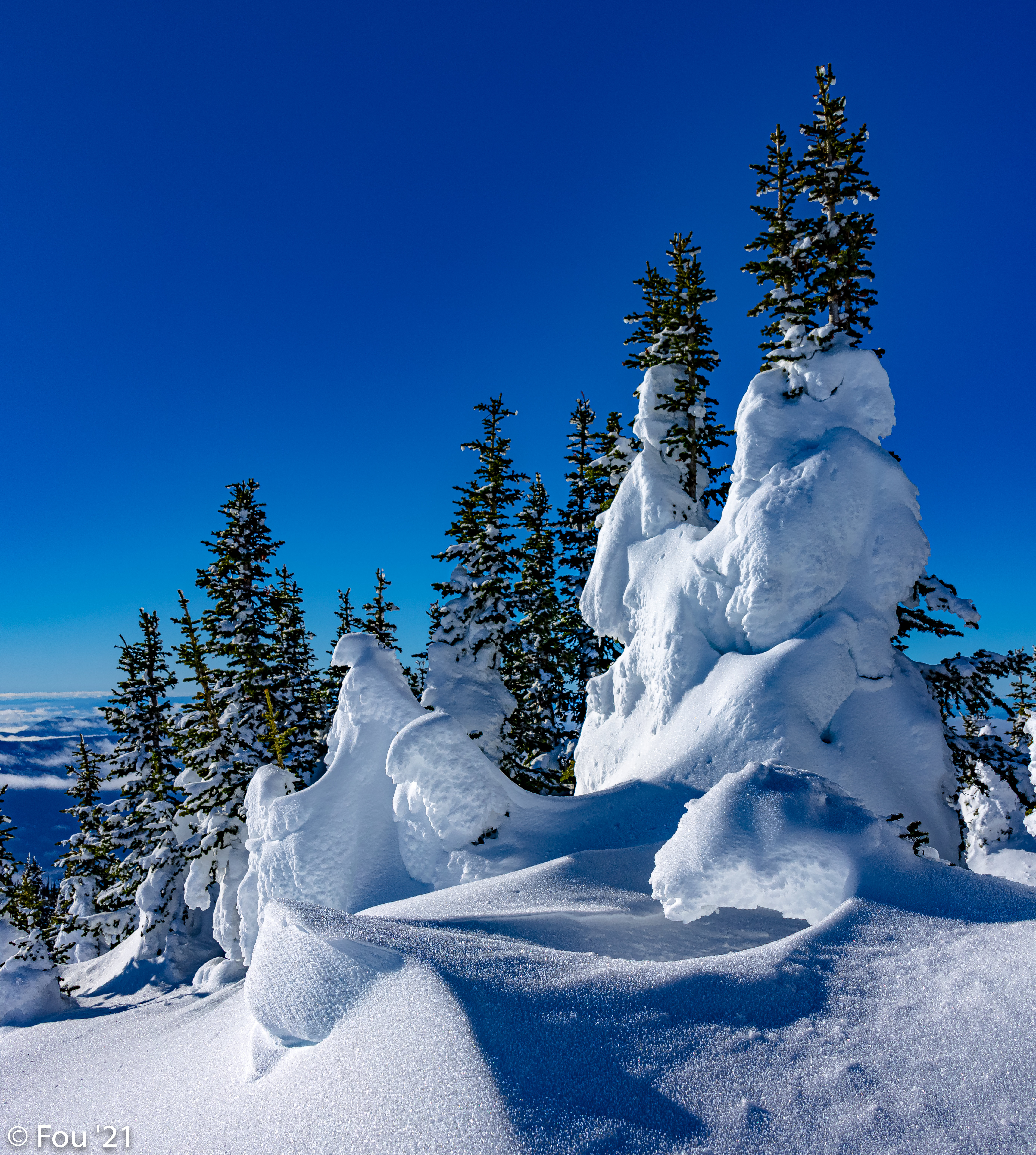 125959 Hintergrundbild herunterladen winter, natur, bäume, schnee, driften, driftet - Bildschirmschoner und Bilder kostenlos