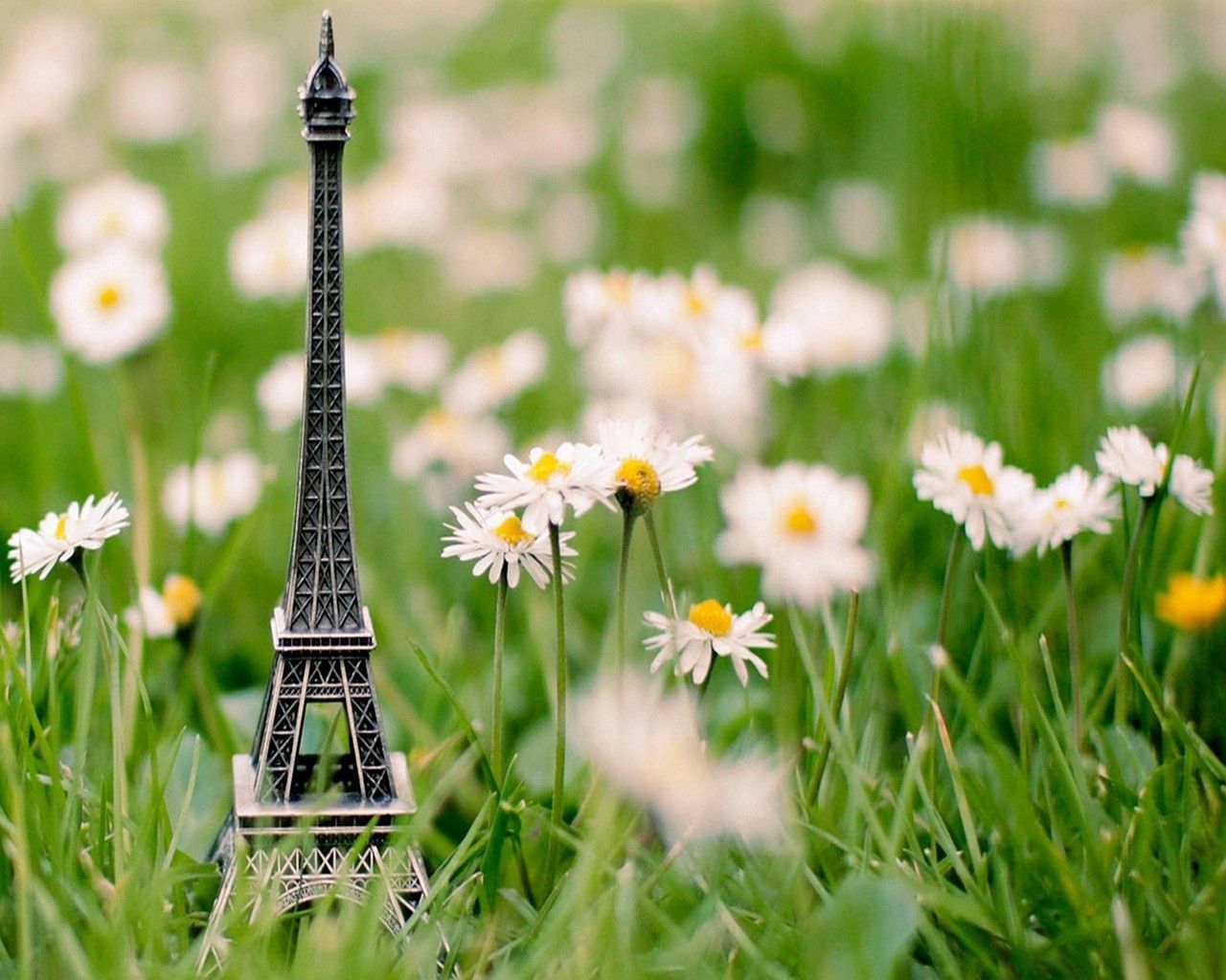Download mobile wallpaper Macro, Grass, Plant, Eiffel Tower for free.