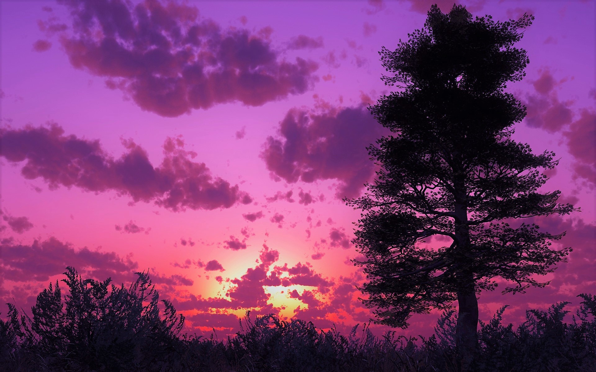 Скачать картинку Облака, Силуэт, Дерево, Пурпурный, Земля/природа, Закат Солнца в телефон бесплатно.