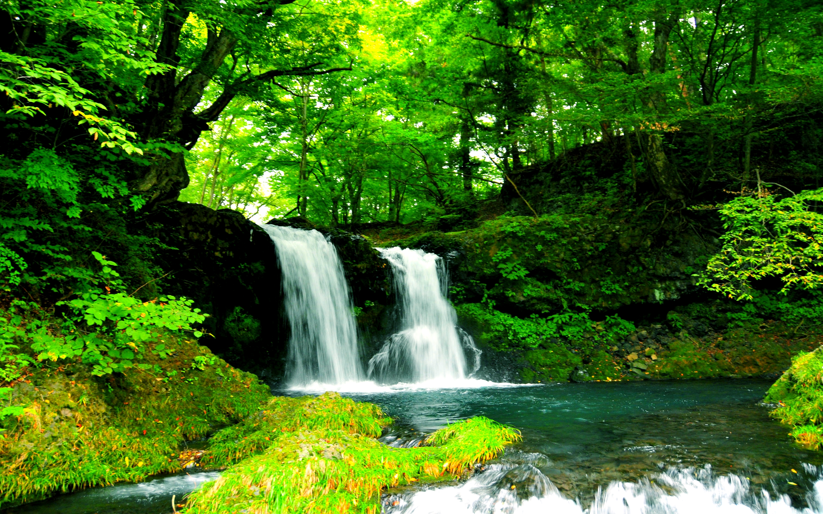 379282 завантажити картинку зелень, земля, водоспад, ліс, ставок, дерево, водоспади - шпалери і заставки безкоштовно