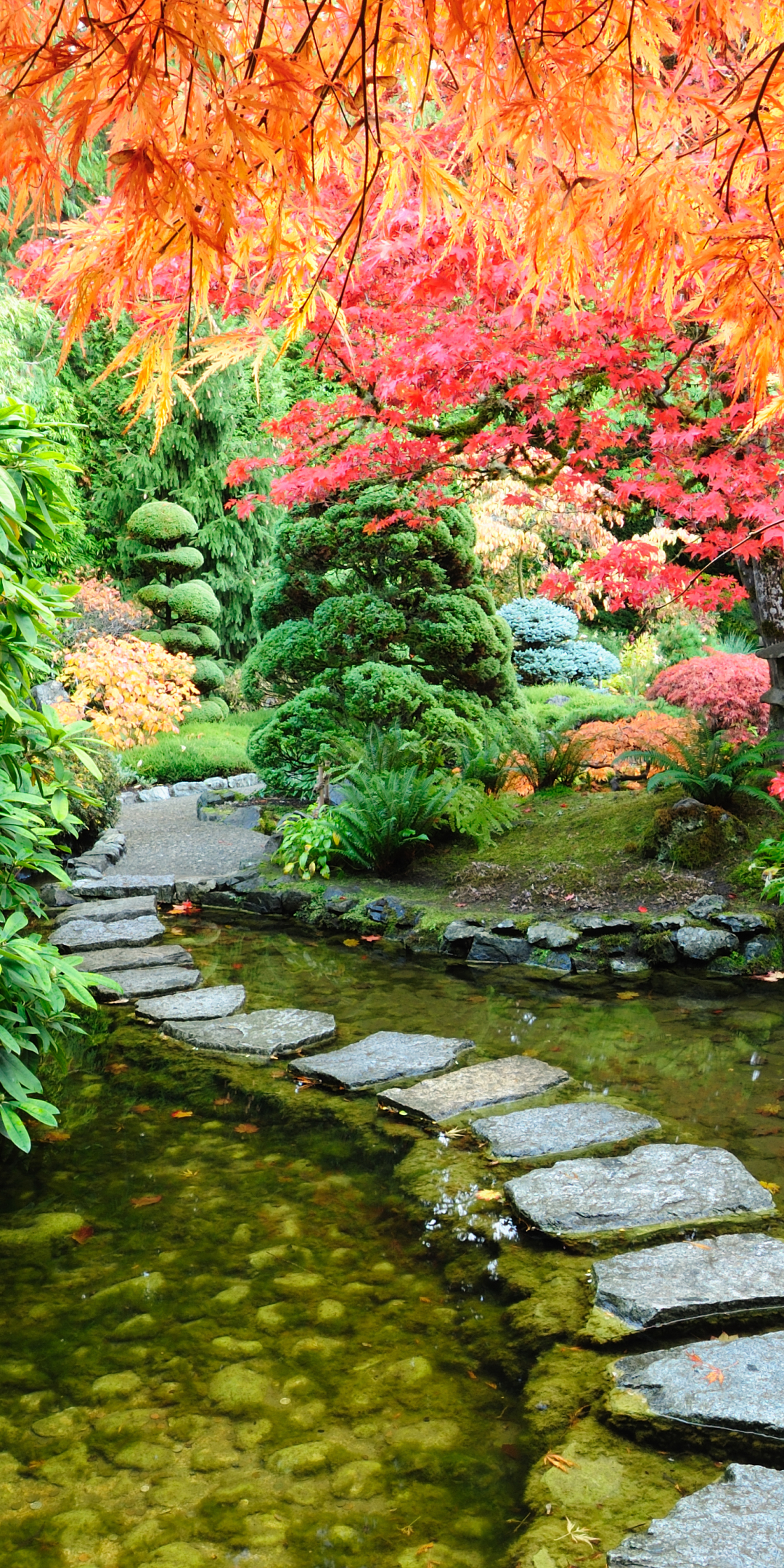 Download mobile wallpaper Fall, Path, Pond, Man Made, Japanese Garden for free.