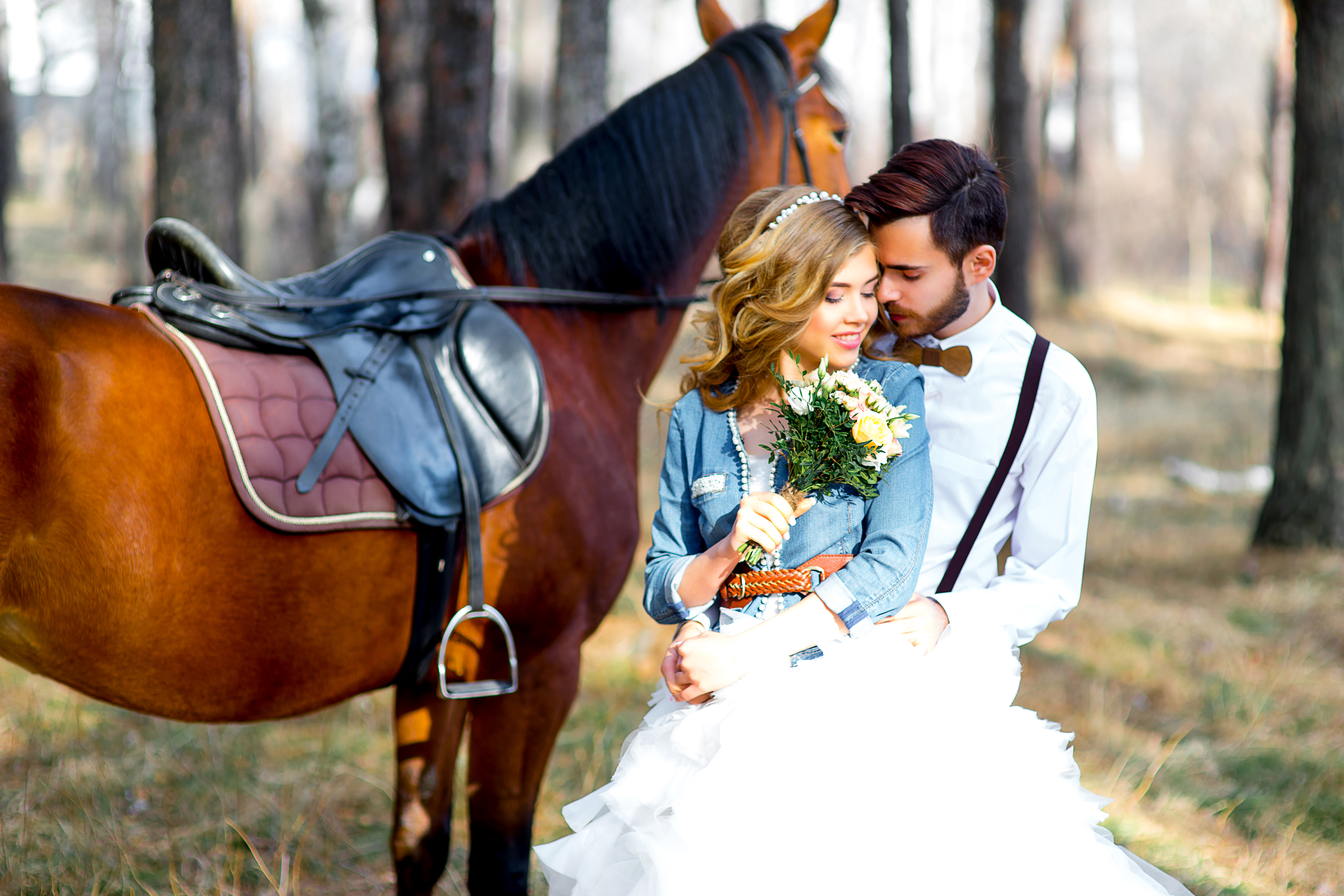 PCデスクトップに馬, 写真撮影, 愛する, ロマンチック画像を無料でダウンロード
