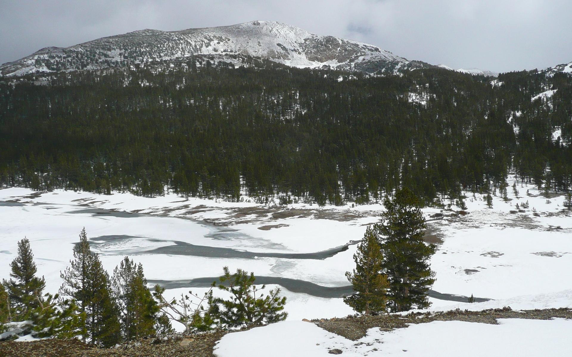 Descarga gratuita de fondo de pantalla para móvil de Invierno, Tierra/naturaleza.