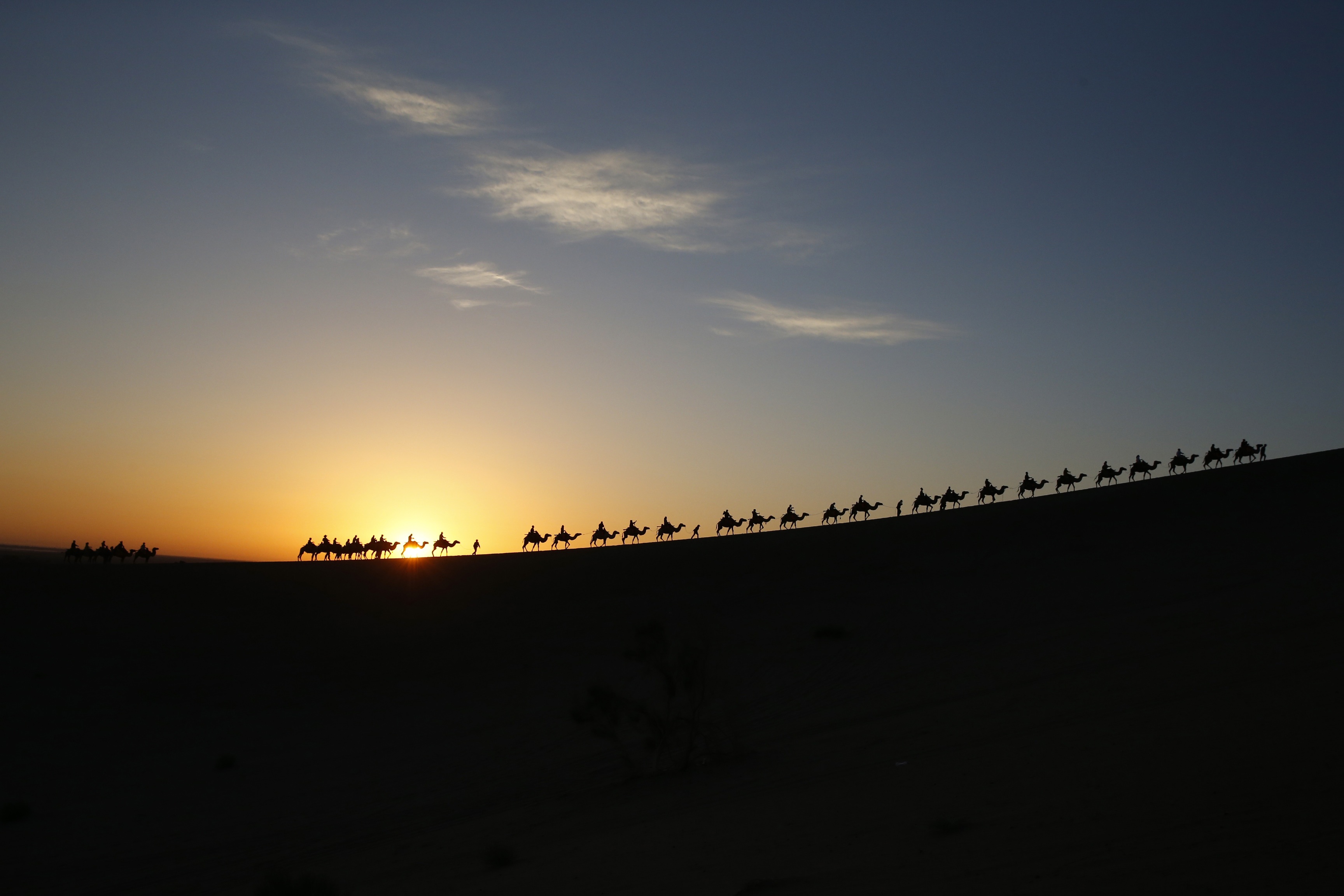 Скачать обои бесплатно Верблюды, Фотографии, Закат Солнца картинка на рабочий стол ПК