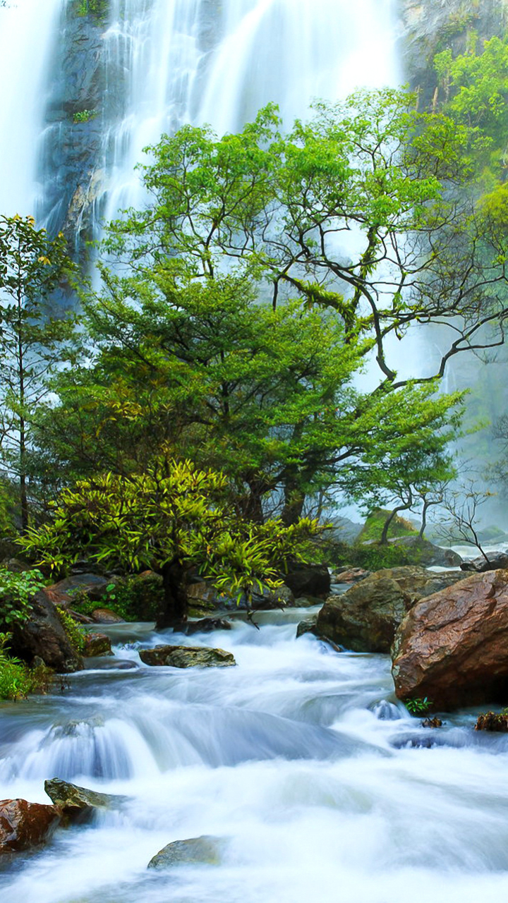 Download mobile wallpaper Nature, Waterfalls, Waterfall, Forest, Tree, Earth, Stream, River for free.