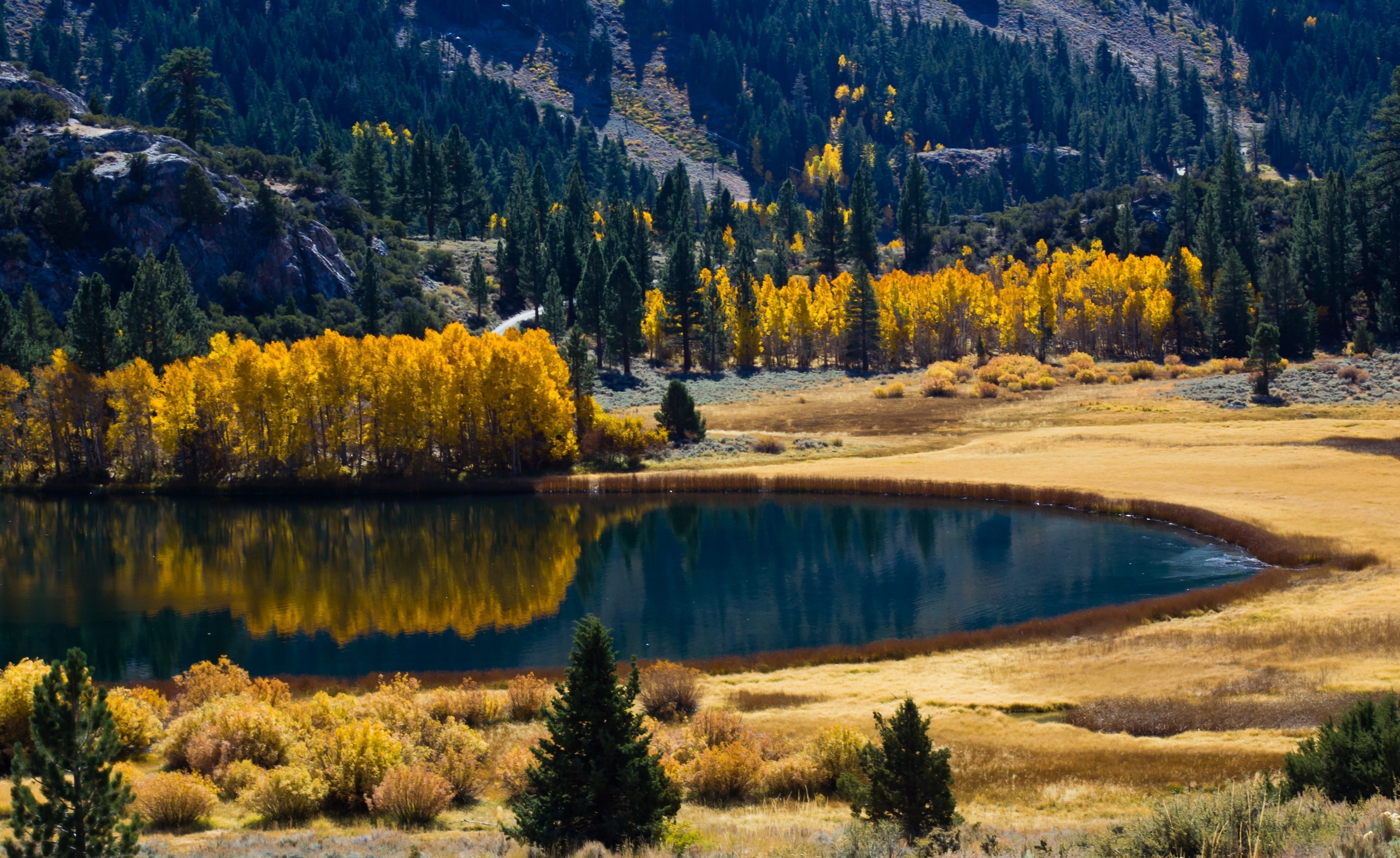 無料モバイル壁紙湖, 木, 自然, 山脈, 秋をダウンロードします。