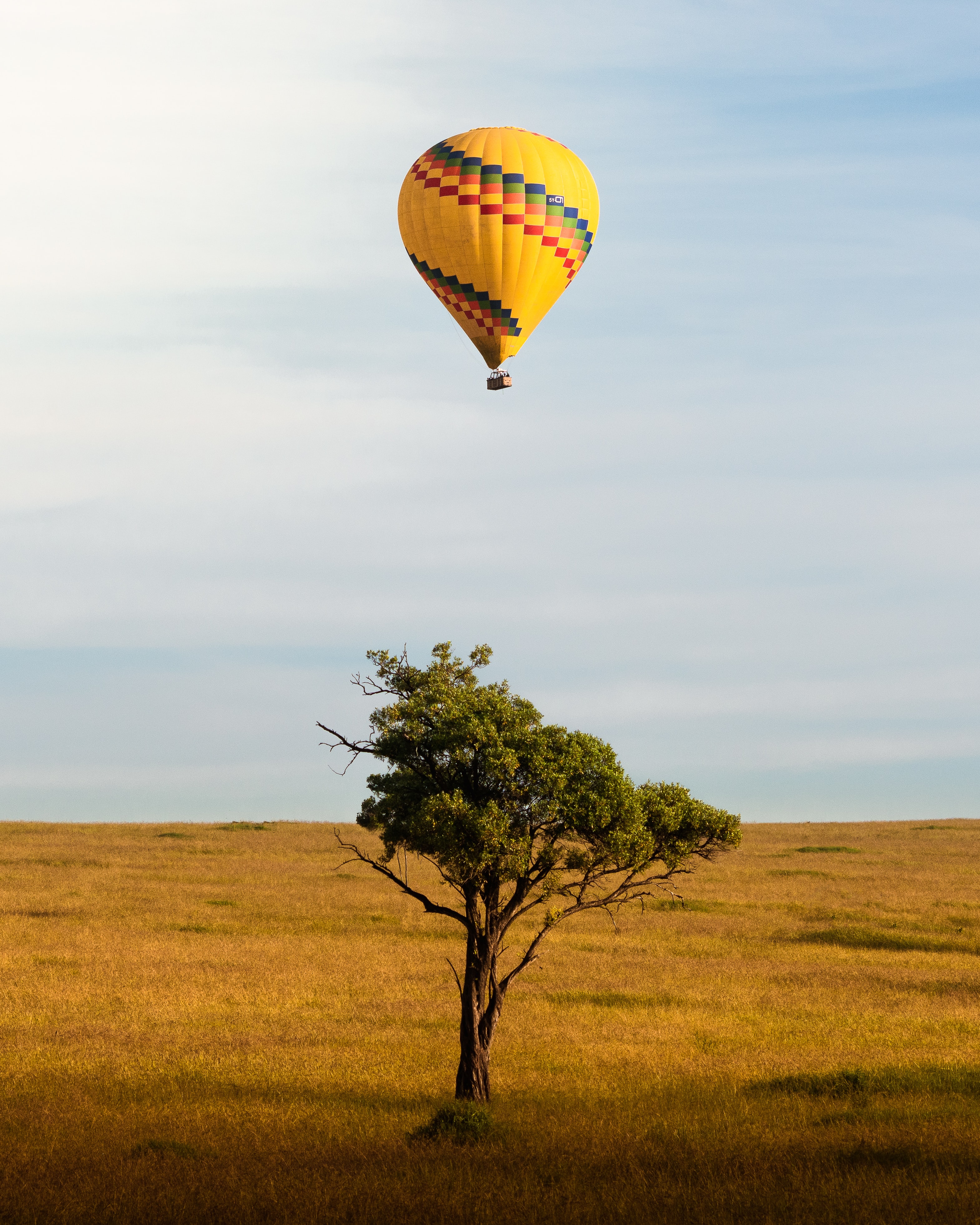 Laden Sie das Horizont, Verschiedenes, Holz, Luftballon, Sonstige, Flug, Baum, Ballon-Bild kostenlos auf Ihren PC-Desktop herunter