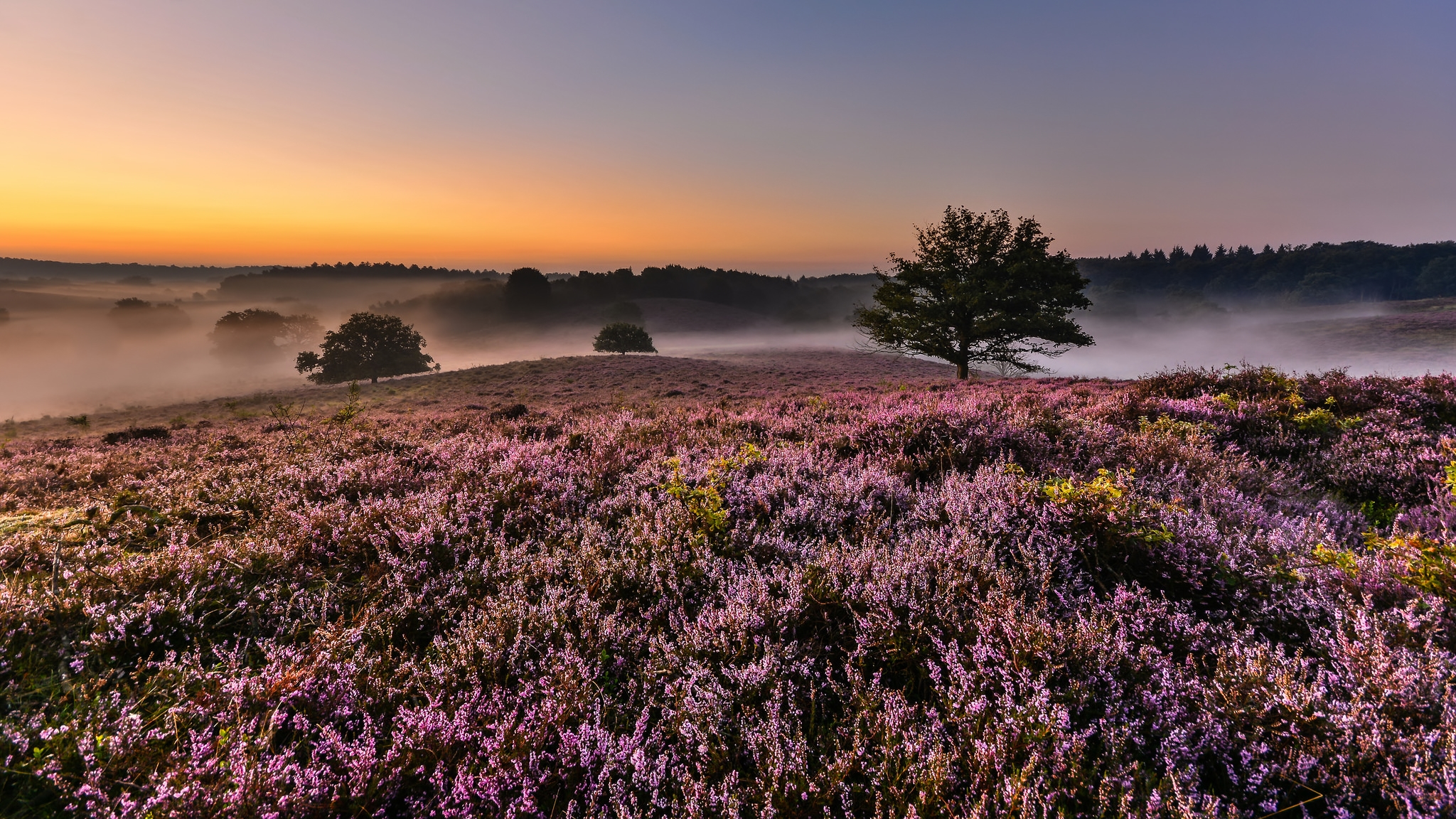 Téléchargez gratuitement l'image Paysage, Terre/nature sur le bureau de votre PC