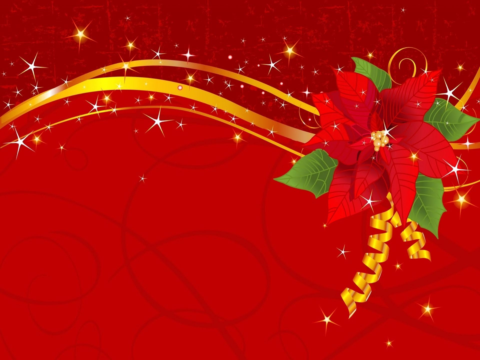 Téléchargez gratuitement l'image Noël, Fleur, Vacances, Décoration sur le bureau de votre PC