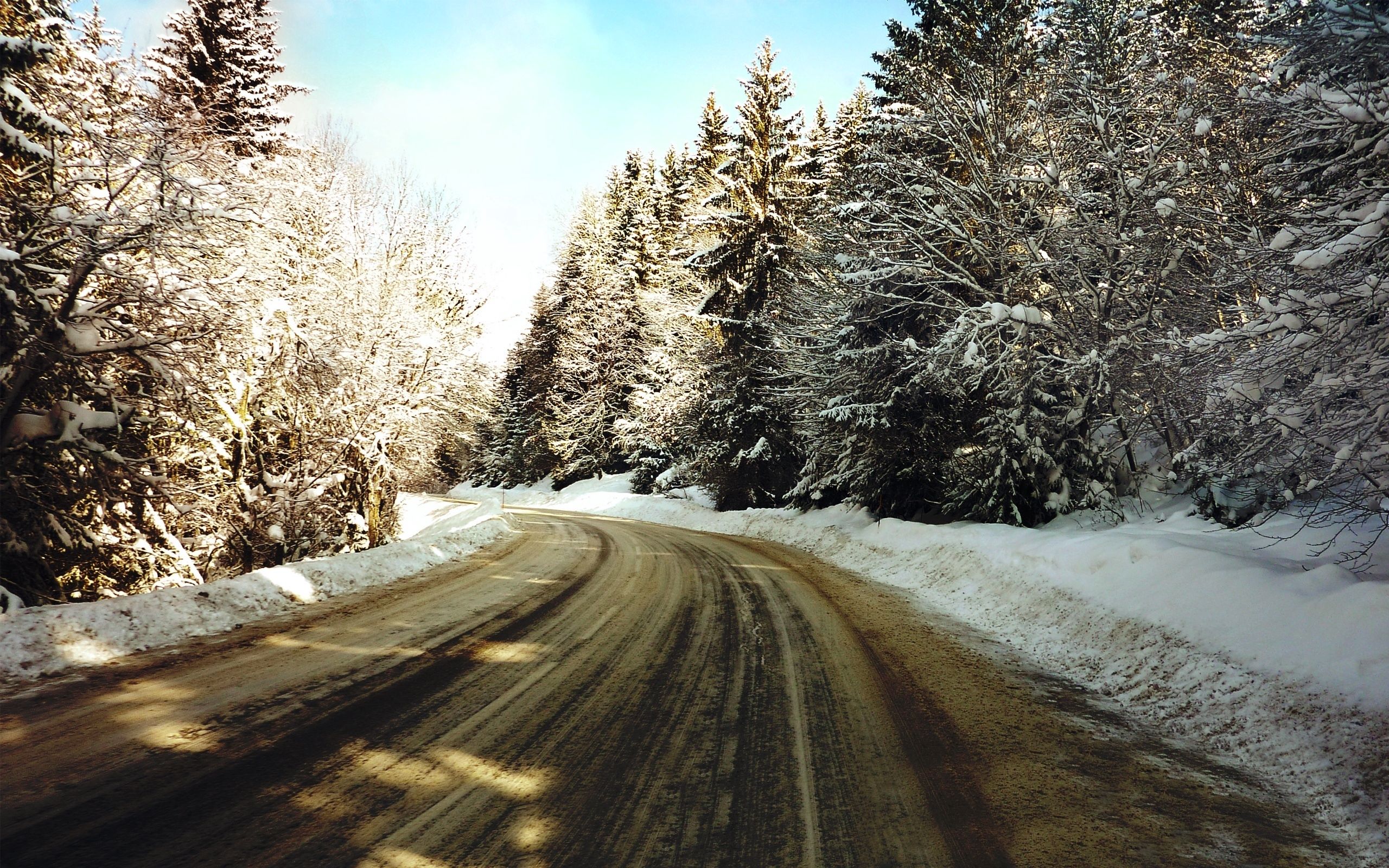 134512壁紙のダウンロード冬, 自然, 木, 道路, 雪, 道, 順番, 回る, 霜, 泥, 垢, スラッシュ-スクリーンセーバーと写真を無料で