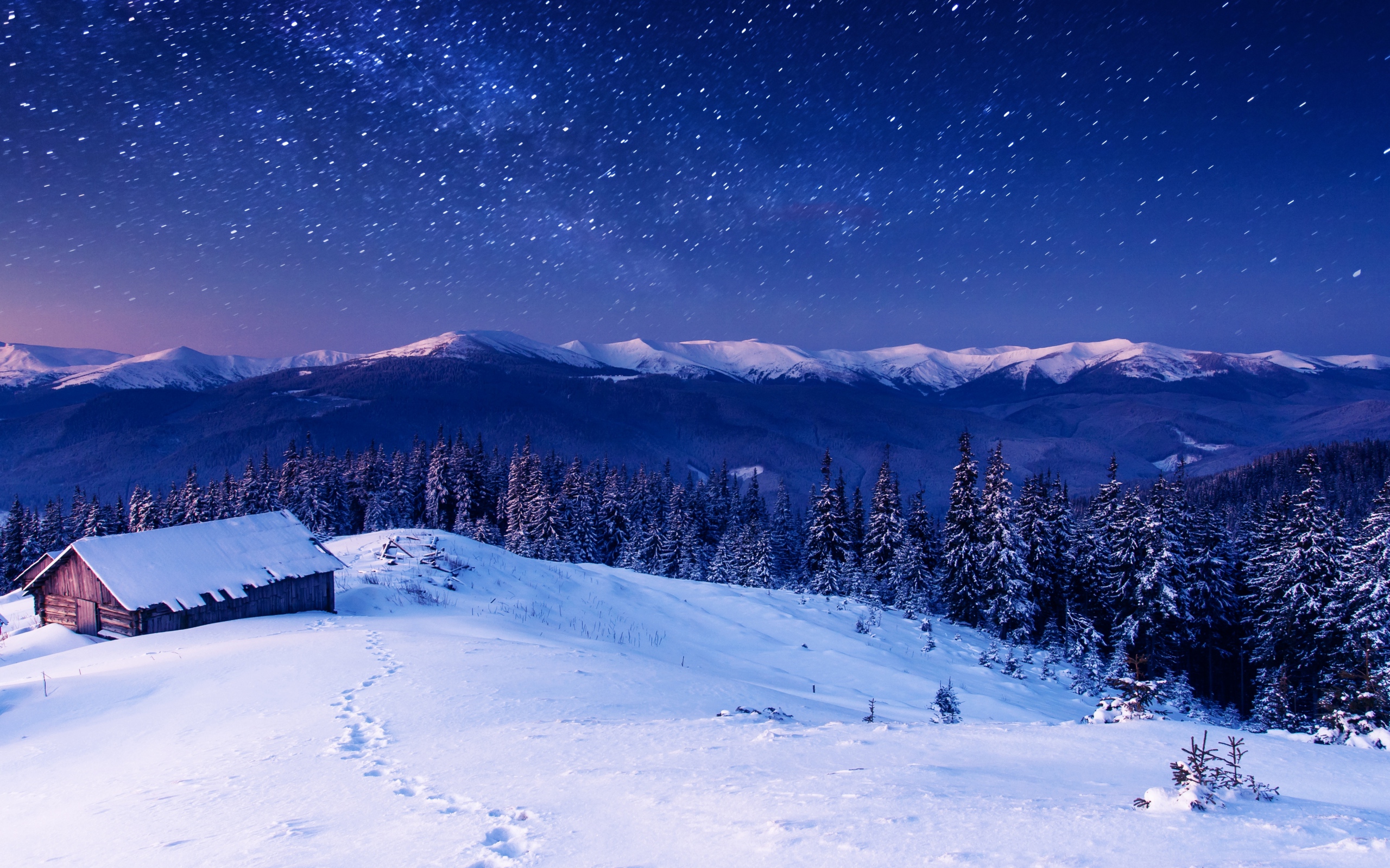 無料モバイル壁紙冬, 雪, 山, 森, 星空, 地球, 出演者, 夜, 写真撮影, 空, キャビンをダウンロードします。