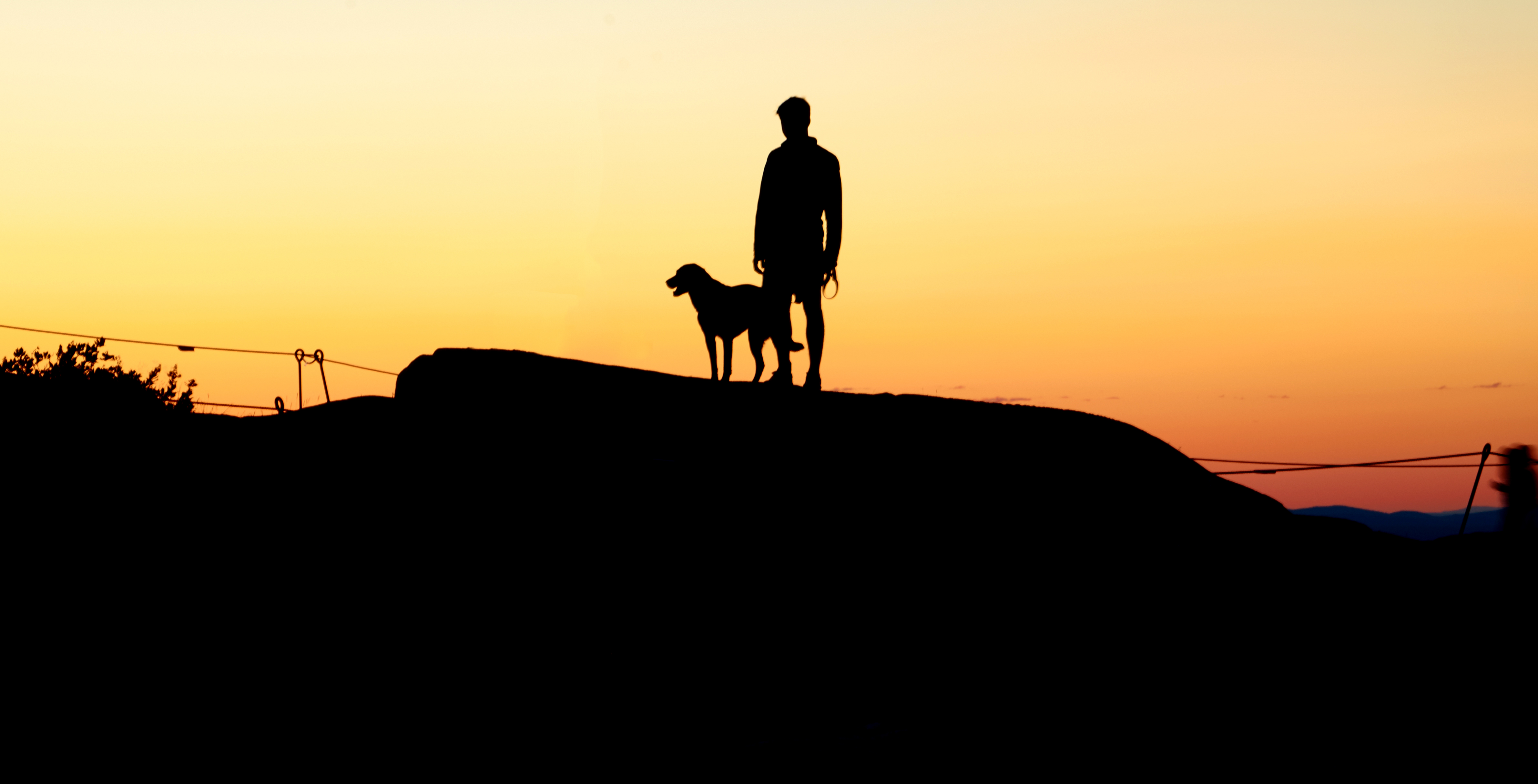 sunset, dark, dog, silhouettes, human, person, hill