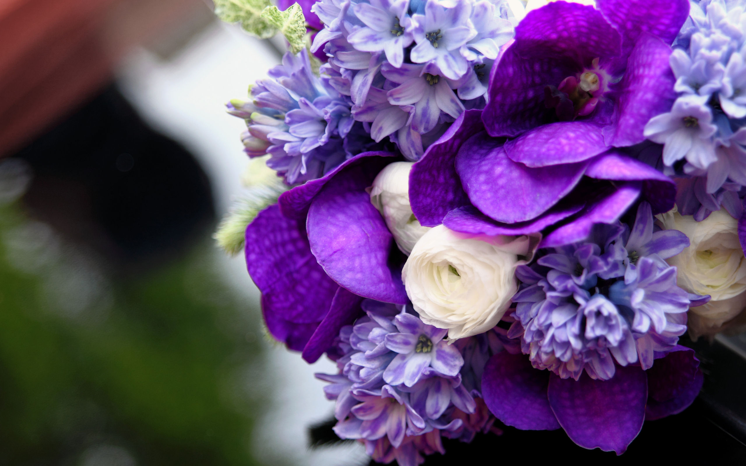 Laden Sie das Blumen, Blume, Erde/natur-Bild kostenlos auf Ihren PC-Desktop herunter