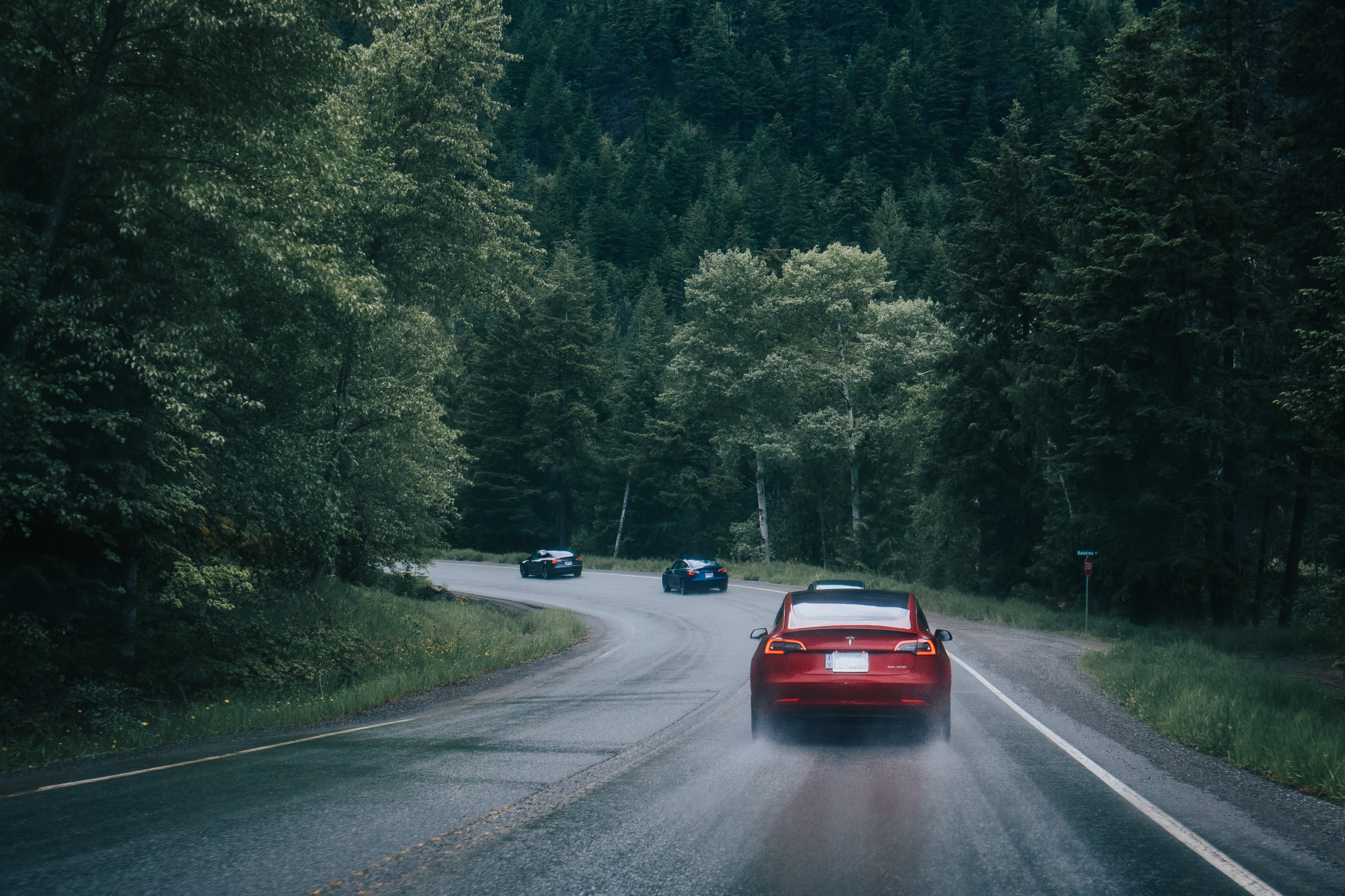 cars, auto, road, forest, chase
