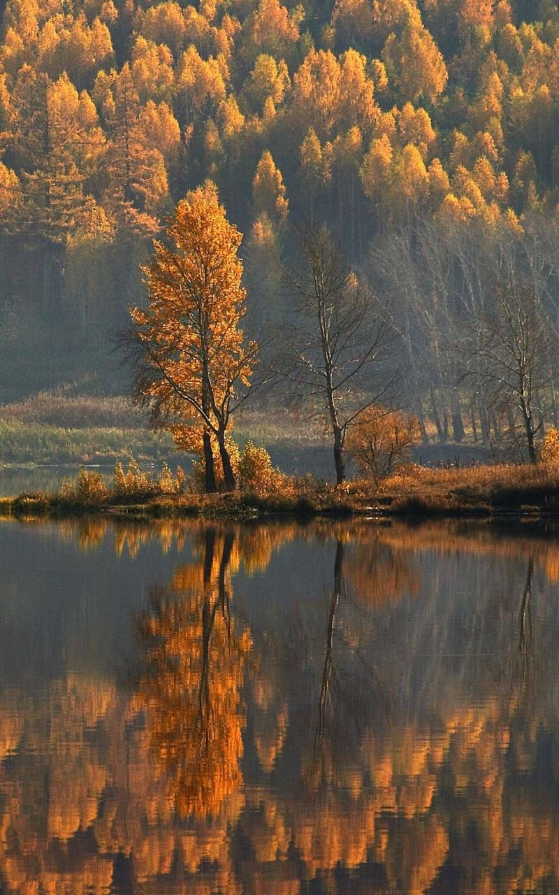 Handy-Wallpaper Herbst, Seen, See, Nebel, Fotografie kostenlos herunterladen.