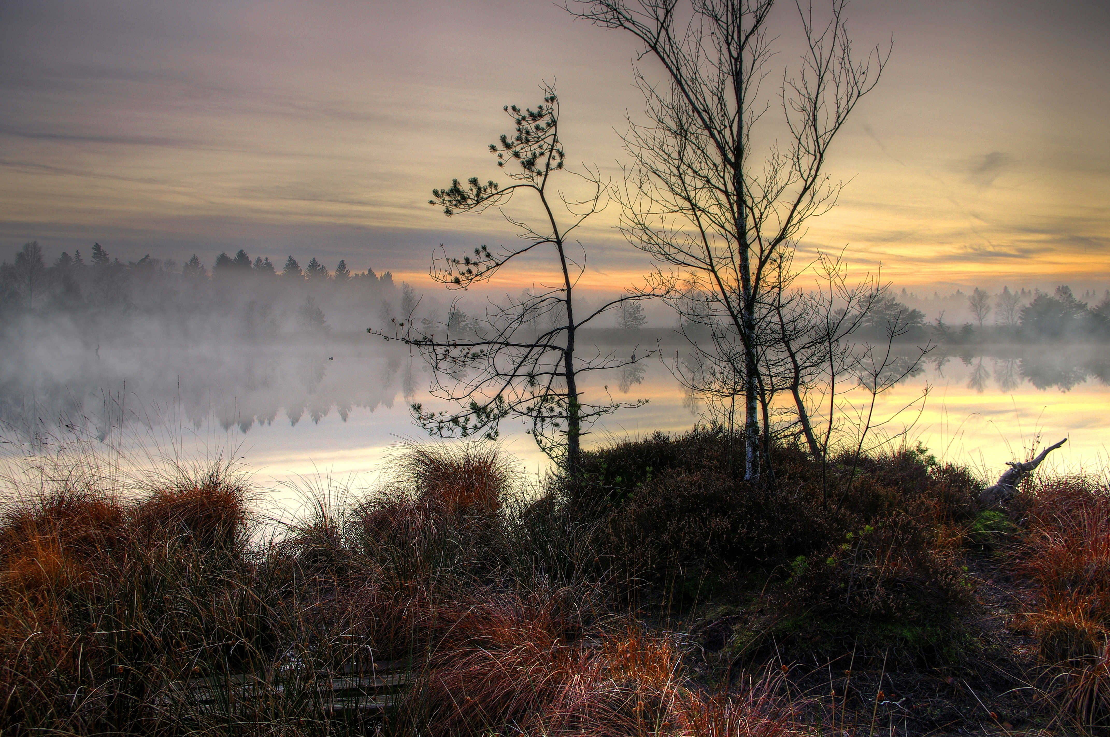 Download mobile wallpaper Fog, Trees, Nature, Sunset, Lake, Landscape for free.