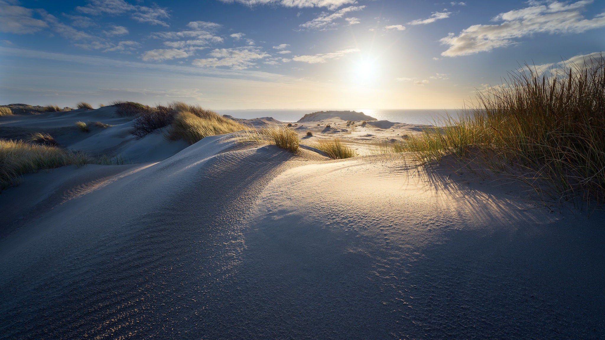 Скачать обои бесплатно Пляж, Песок, Восход Солнца, Земля/природа картинка на рабочий стол ПК
