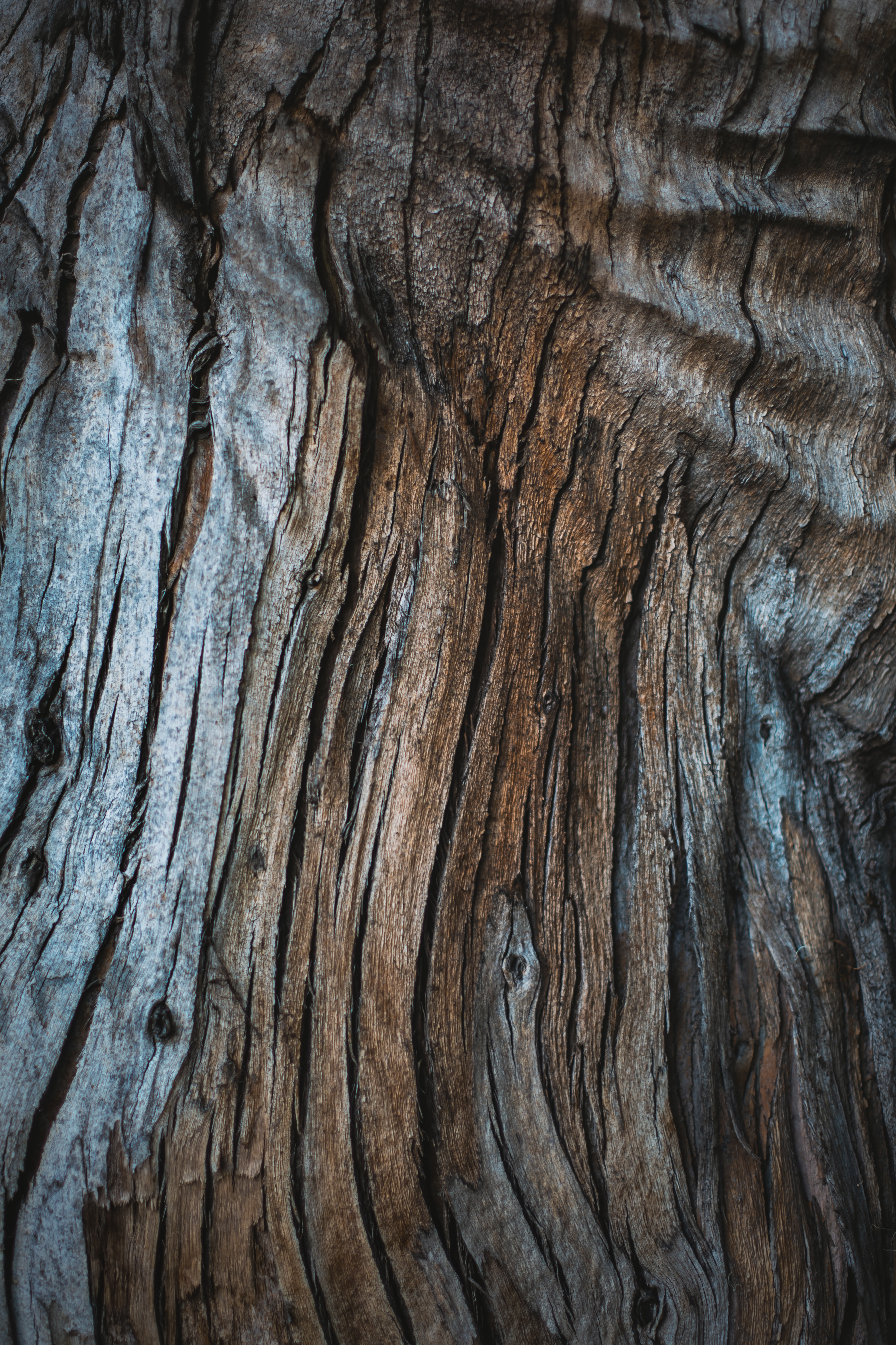 Download mobile wallpaper Tree, Wood, Crack, Cracks, Surface, Texture, Textures for free.