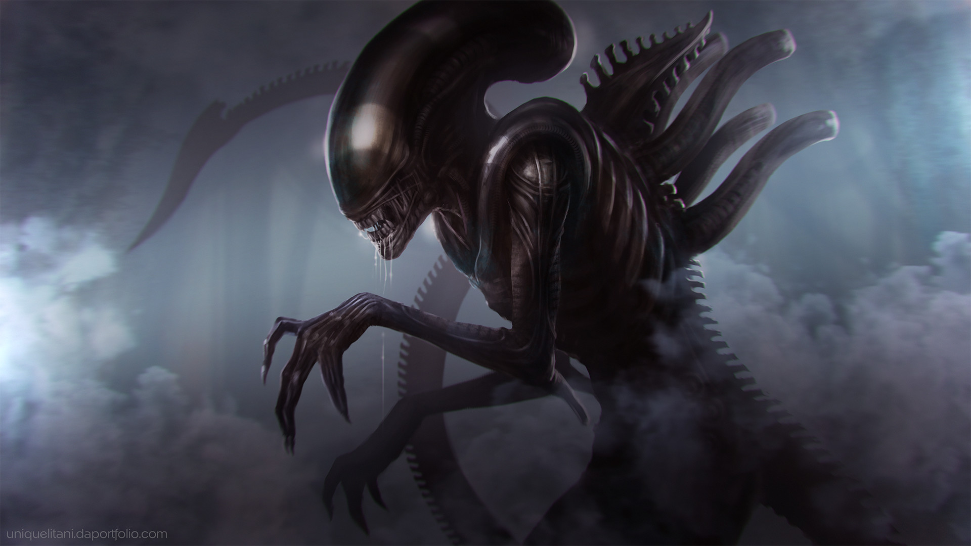Download mobile wallpaper Alien, Sci Fi, Xenomorph for free.