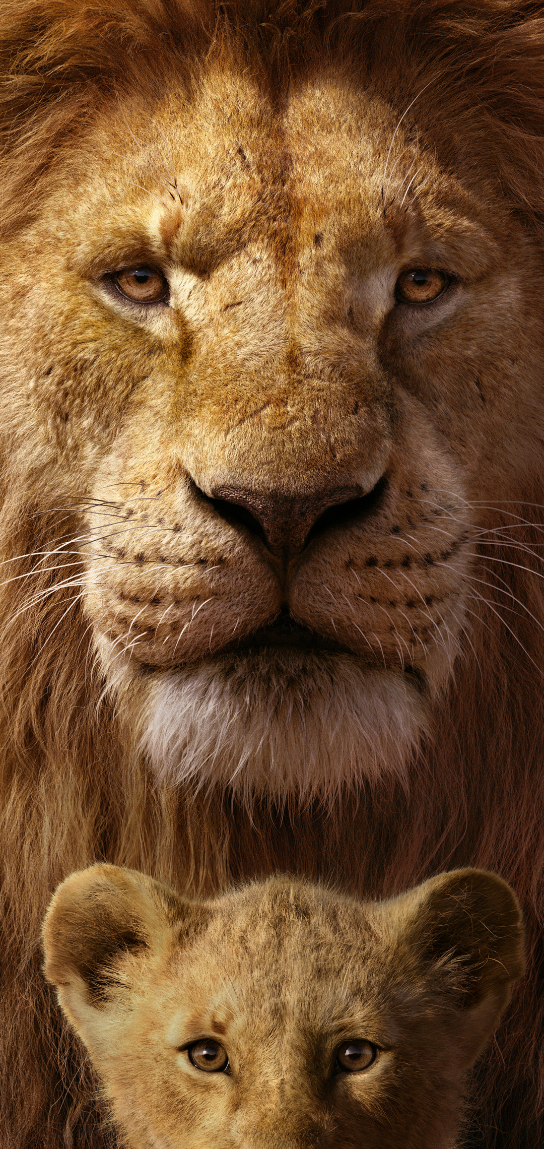 Descarga gratuita de fondo de pantalla para móvil de Películas, Mufasa (El Rey León), Simba, El Rey León (2019).