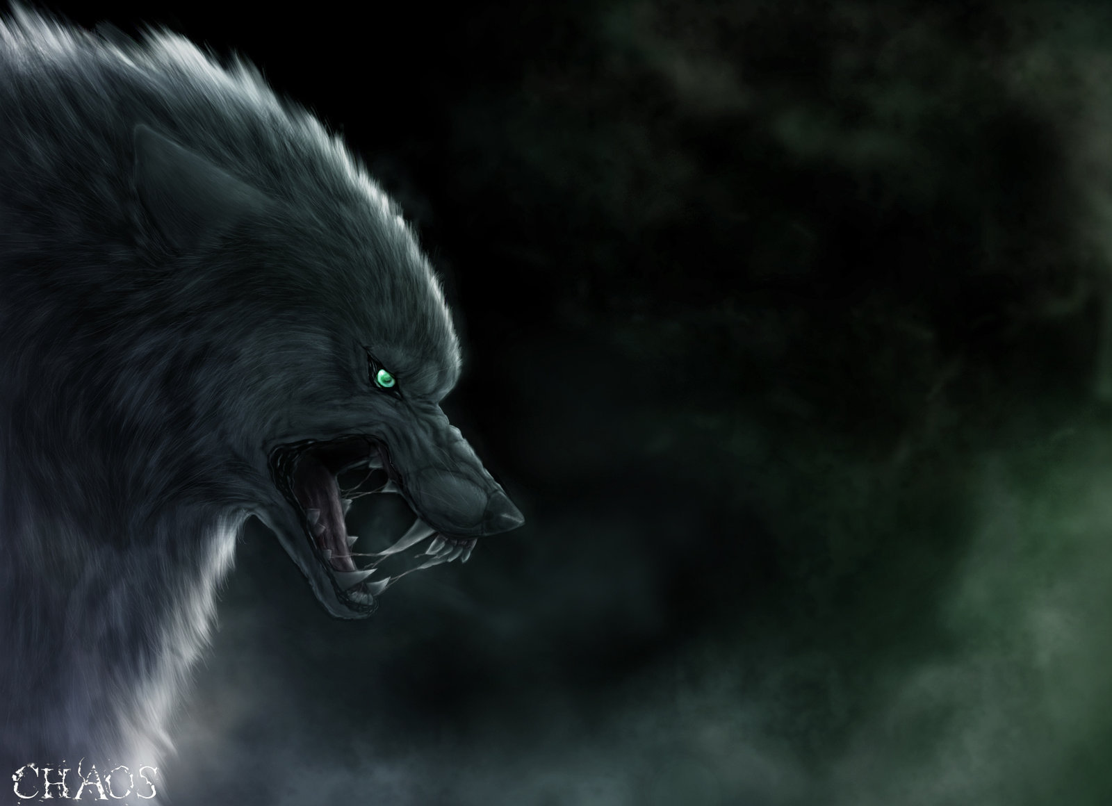 8k Wolfs Images