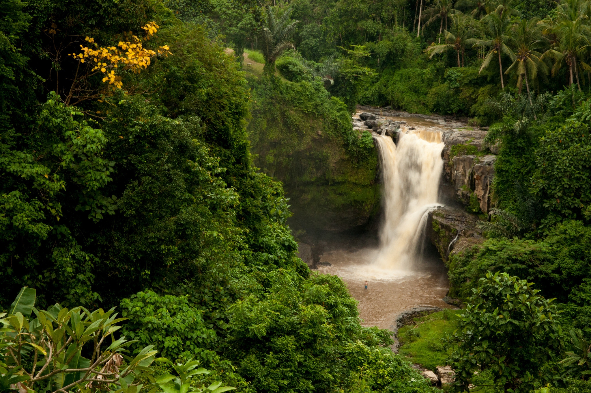 indonesia, bali, palms, nature, rock, waterfall, forest HD wallpaper