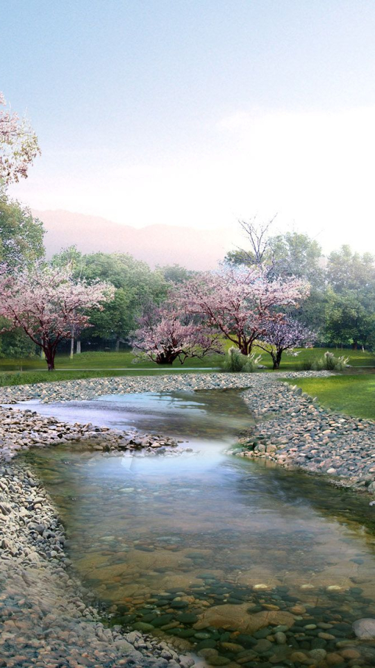Download mobile wallpaper Park, Tree, Earth, Stone, Stream, Spring, Blossom for free.