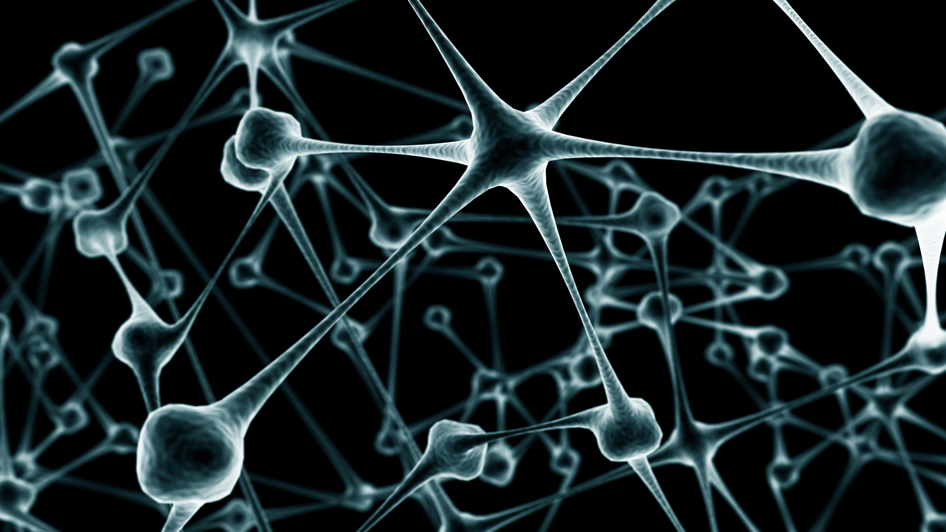 Melhores papéis de parede de Neurônio para tela do telefone