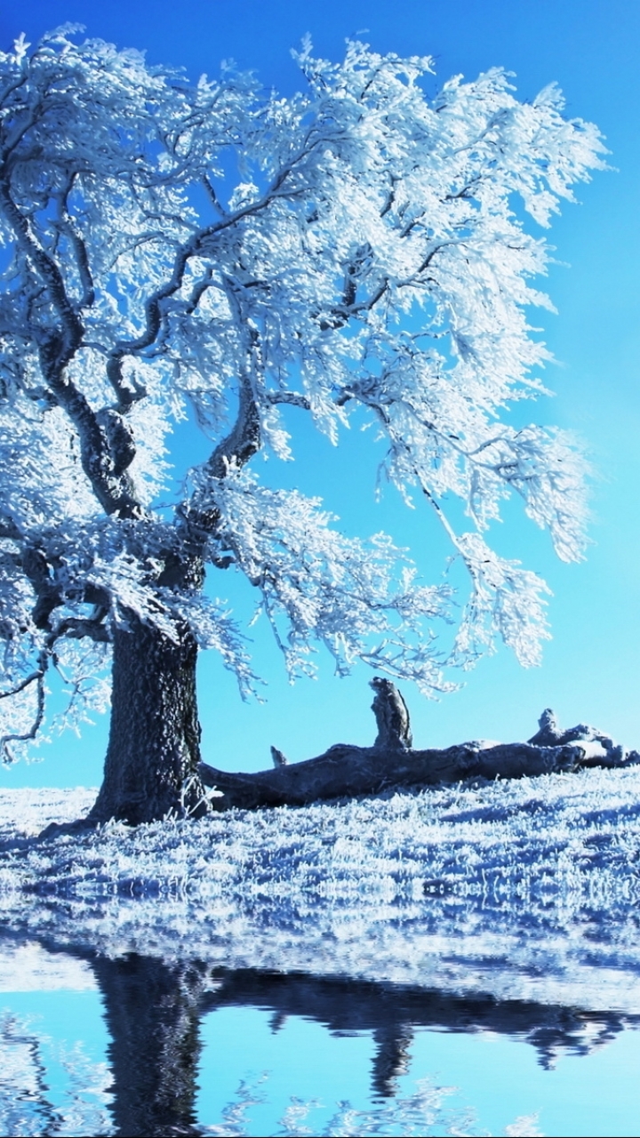 Baixar papel de parede para celular de Inverno, Terra/natureza gratuito.