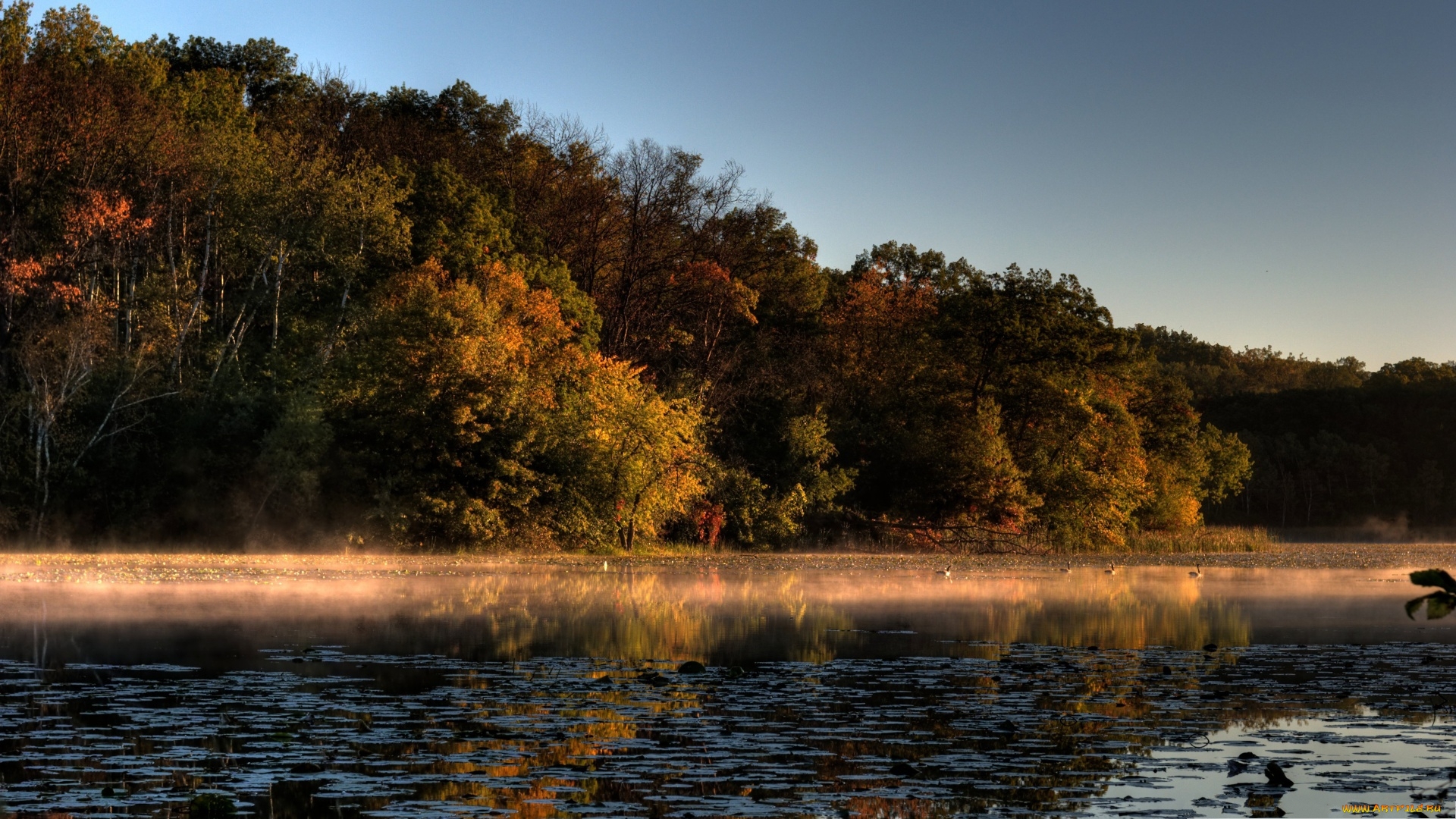 Laden Sie das Fluss, Erde/natur-Bild kostenlos auf Ihren PC-Desktop herunter