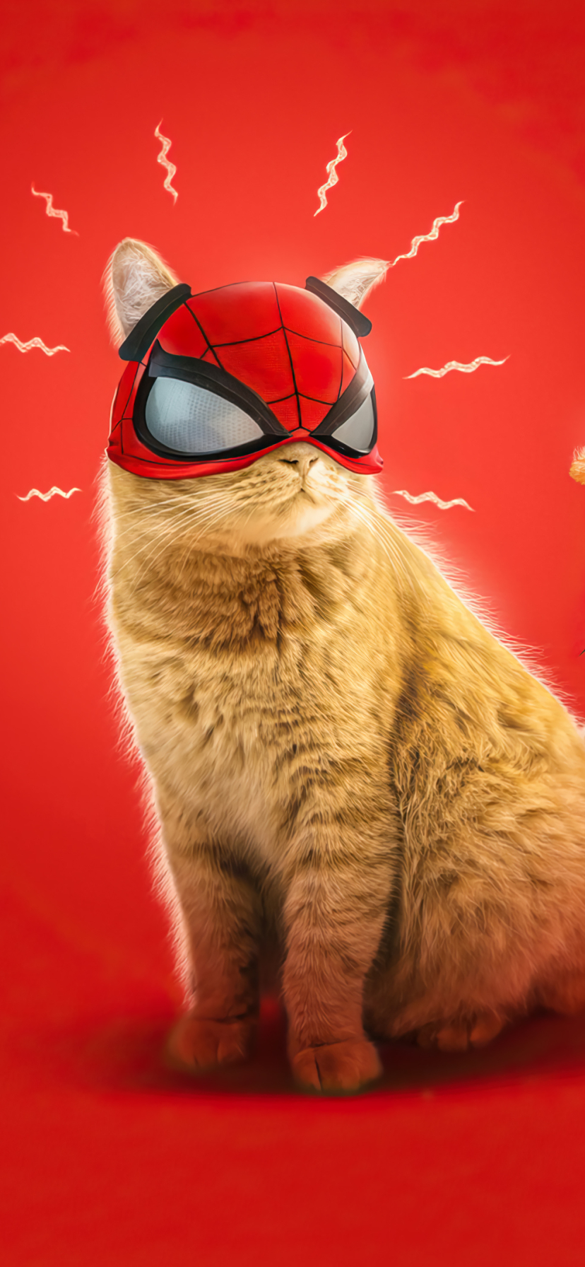 Download mobile wallpaper Cat, Mask, Video Game, Marvel's Spider Man: Miles Morales, Spider Cat for free.