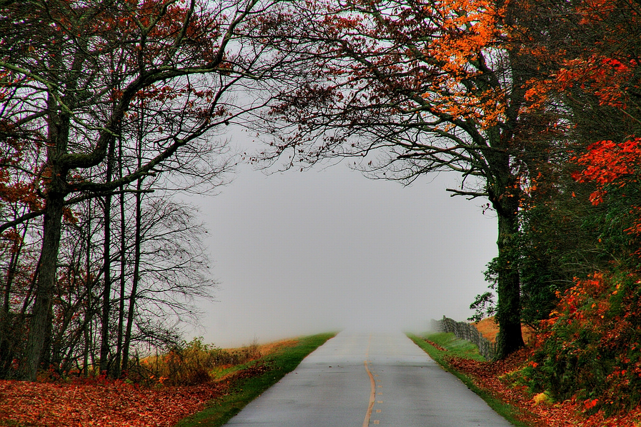 Descarga gratuita de fondo de pantalla para móvil de Carretera, Hecho Por El Hombre.