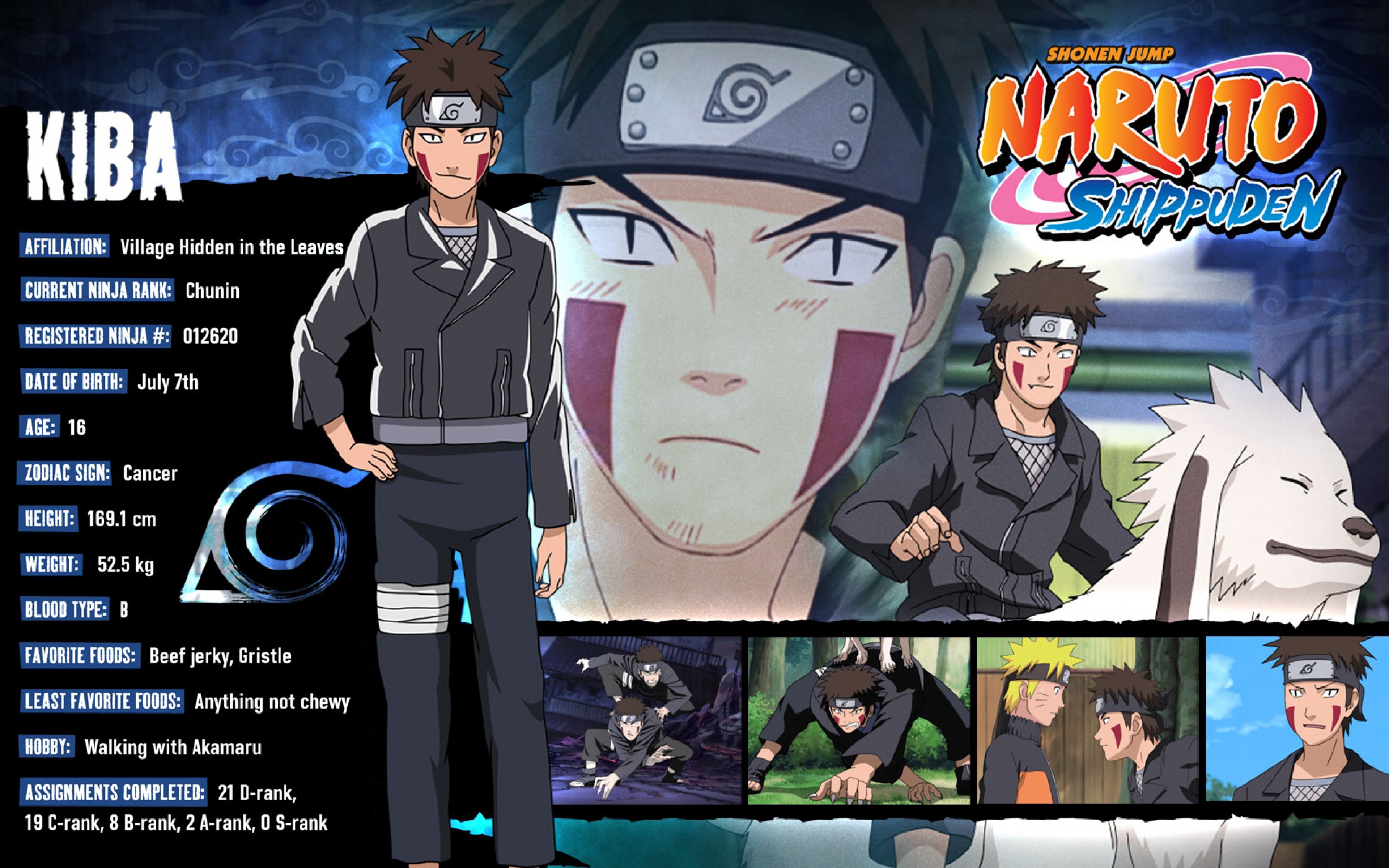 372467 Hintergrundbild herunterladen animes, naruto, kiba inuzuka - Bildschirmschoner und Bilder kostenlos