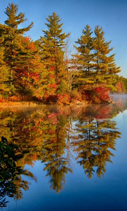 1260526 Bildschirmschoner und Hintergrundbilder Herbst auf Ihrem Telefon. Laden Sie  Bilder kostenlos herunter