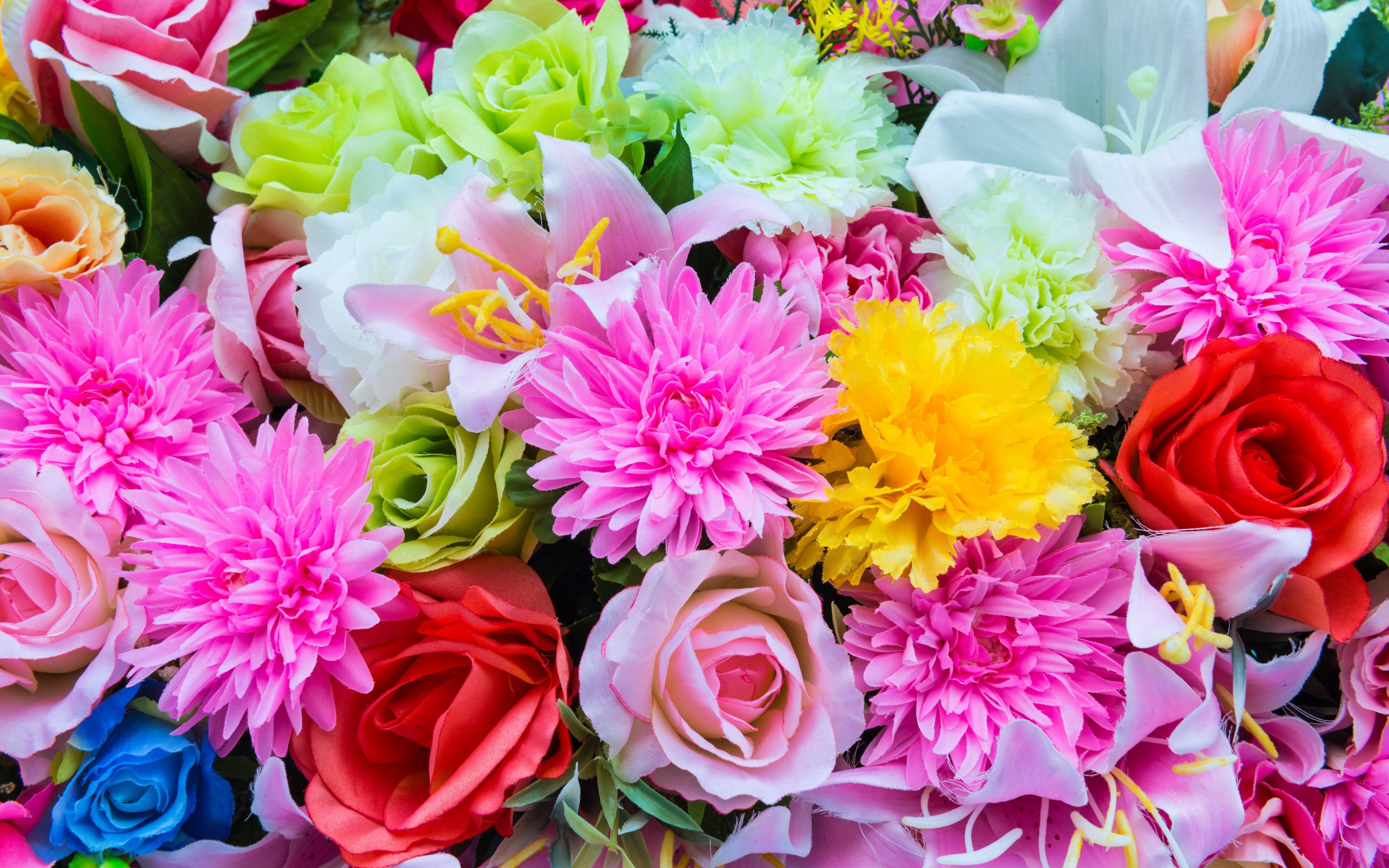 Descarga gratis la imagen Flores, Flor, Colores, Vistoso, Primavera, Tierra/naturaleza en el escritorio de tu PC