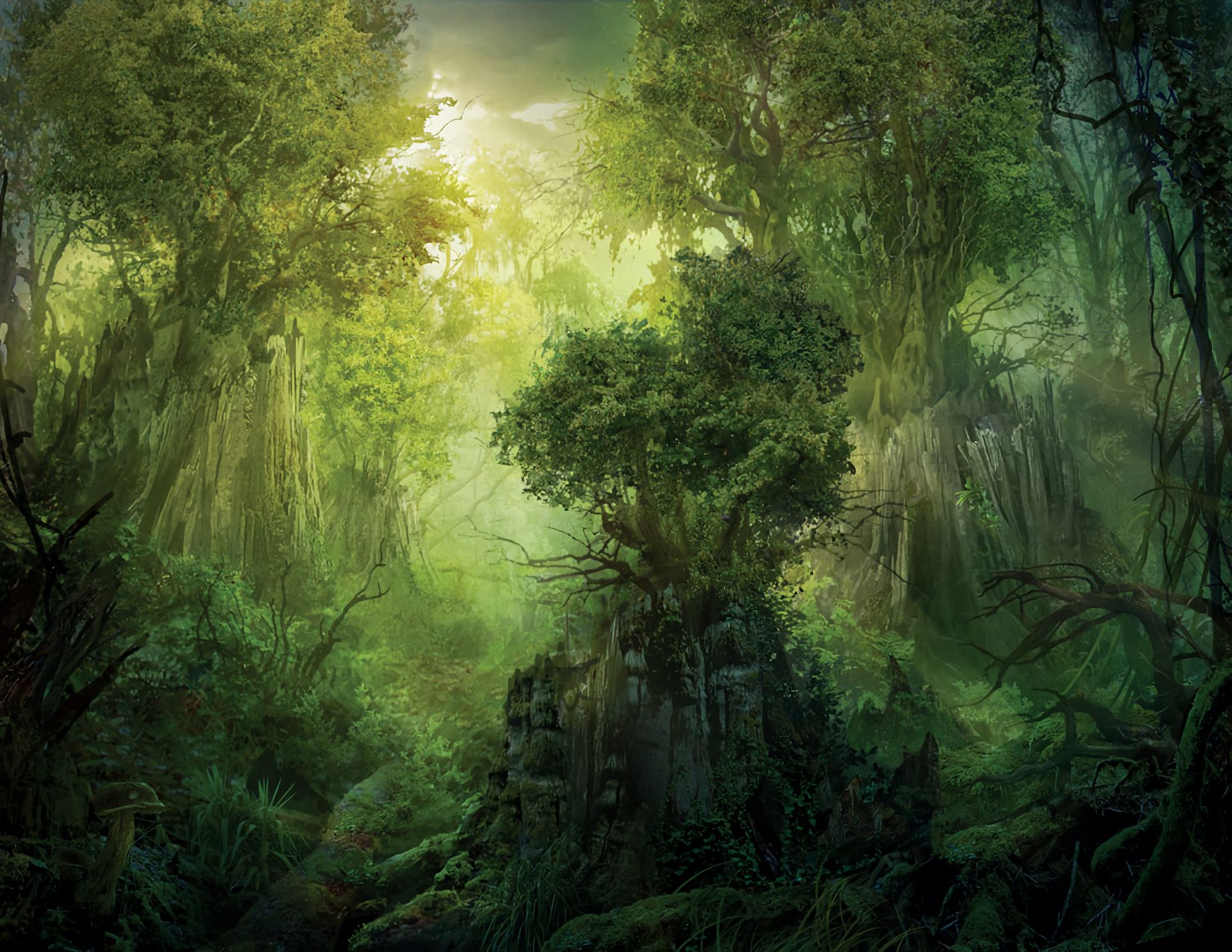 1077691 скачать обои игры, фантастика, дерево, лес, магия: сбор - заставки и картинки бесплатно