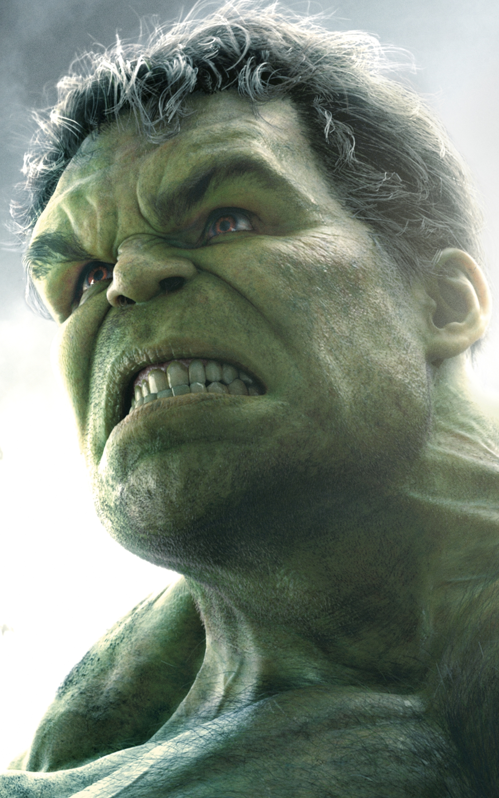 Handy-Wallpaper Hulk, Filme, Die Rächer, Avengers: Age Of Ultron kostenlos herunterladen.