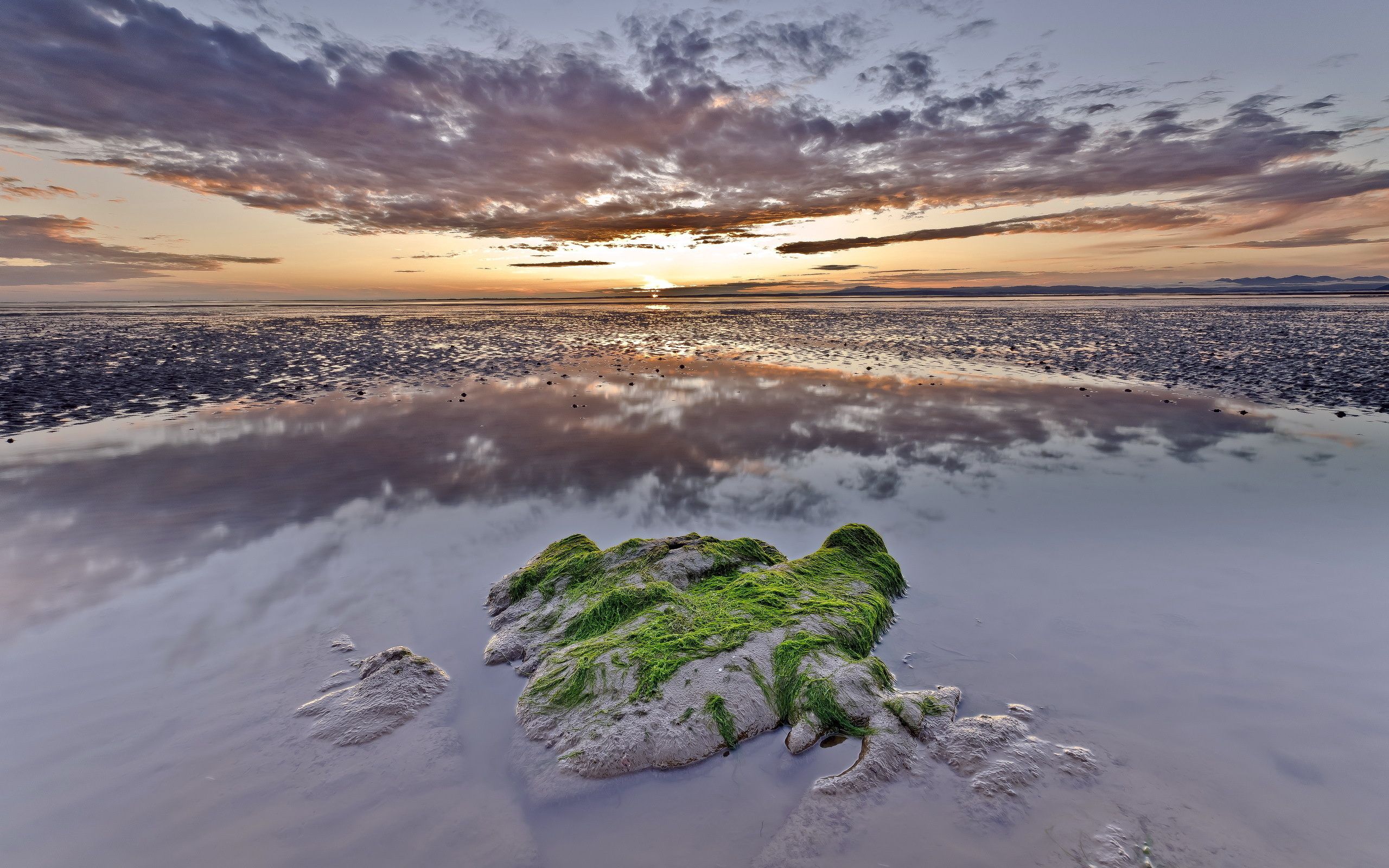 rock, dusk, nature, water, sky, twilight, clouds, stone, evening, moss, reefs, puddle, low tide