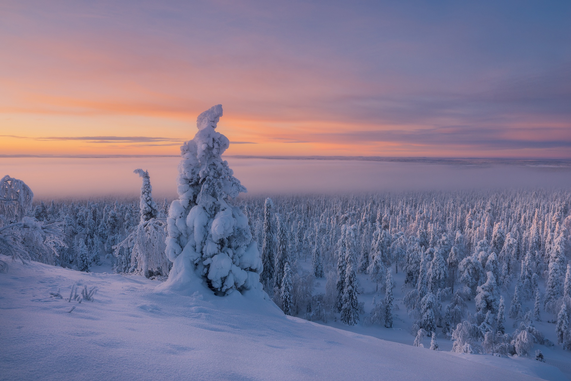 PCデスクトップに風景, 冬, 自然, 雪, 地平線, 森, 霧, 地球画像を無料でダウンロード