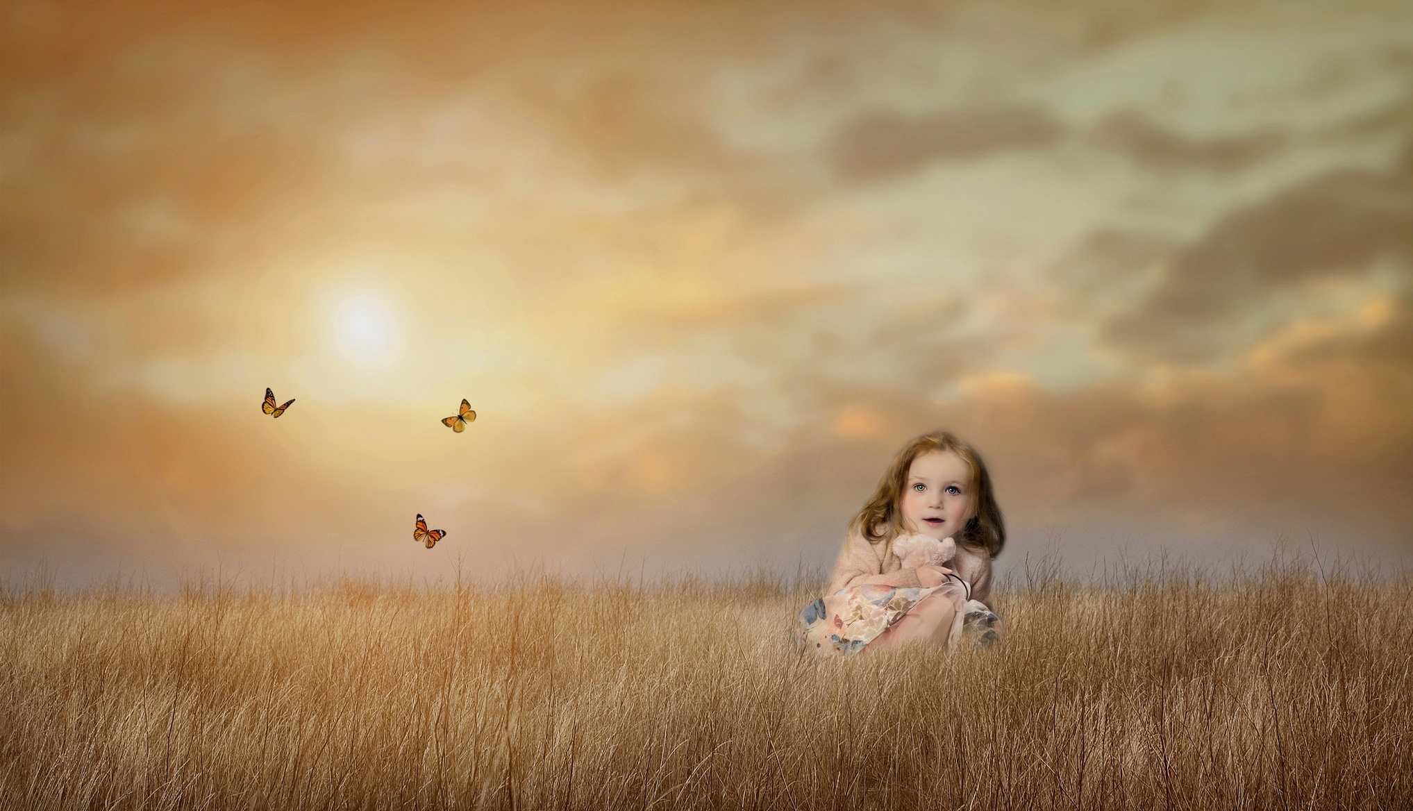 Free download wallpaper Sky, Field, Butterfly, Mood, Child, Photography on your PC desktop