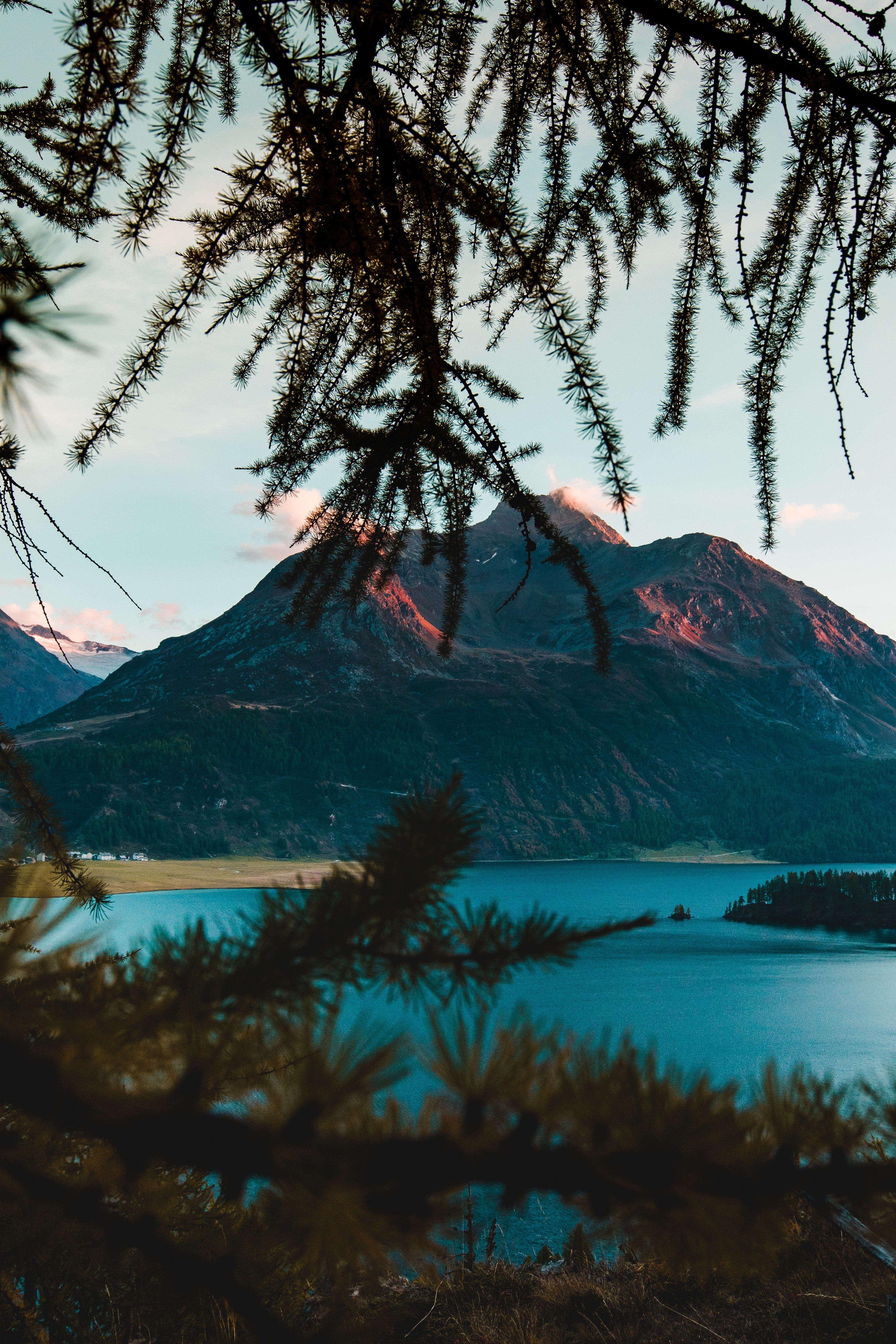 PCデスクトップに自然, 湖, ブランチ, 枝, 山脈, スイス画像を無料でダウンロード